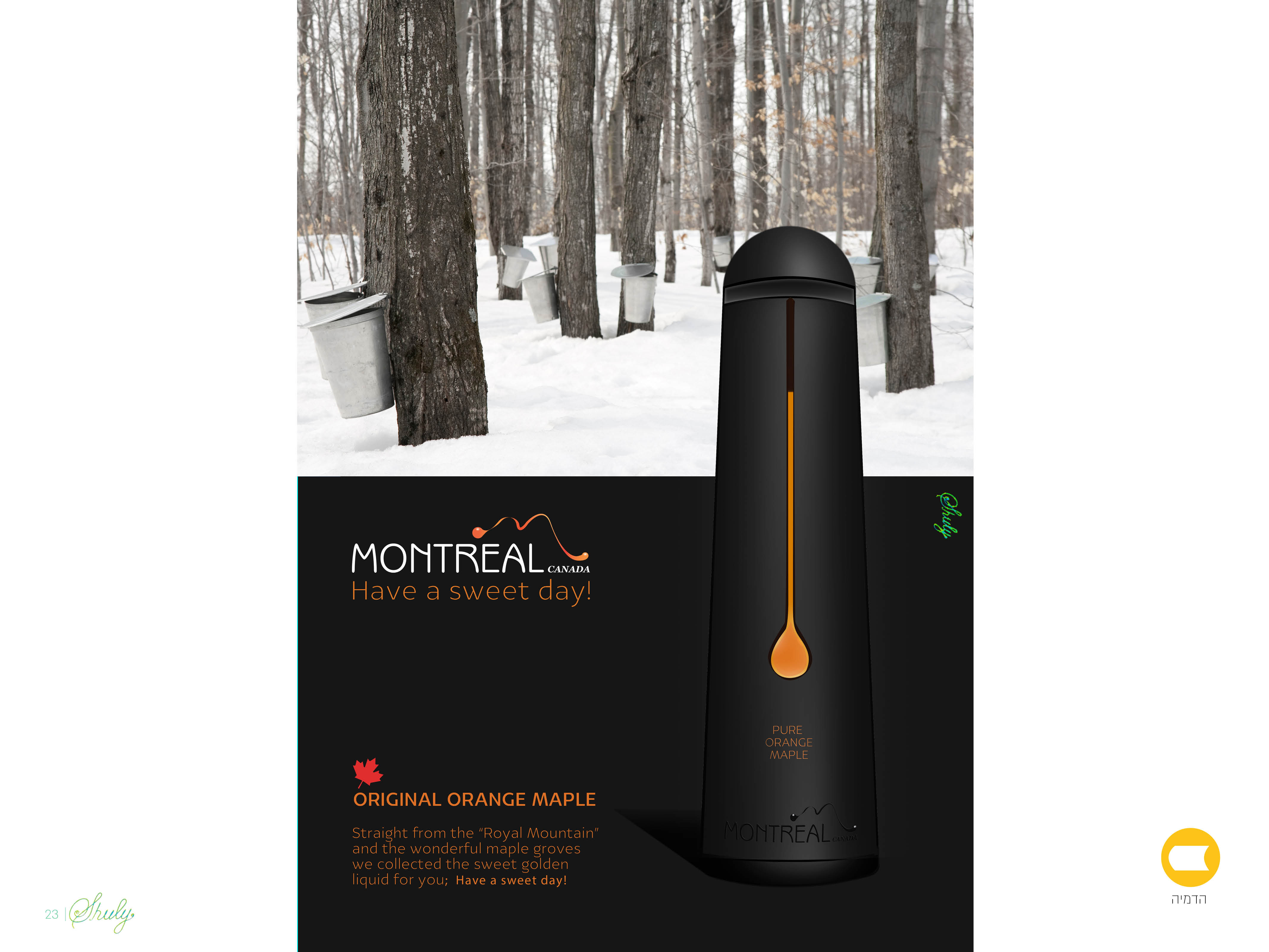 עמודי מצגת אקסטרה מדיום123.jpg