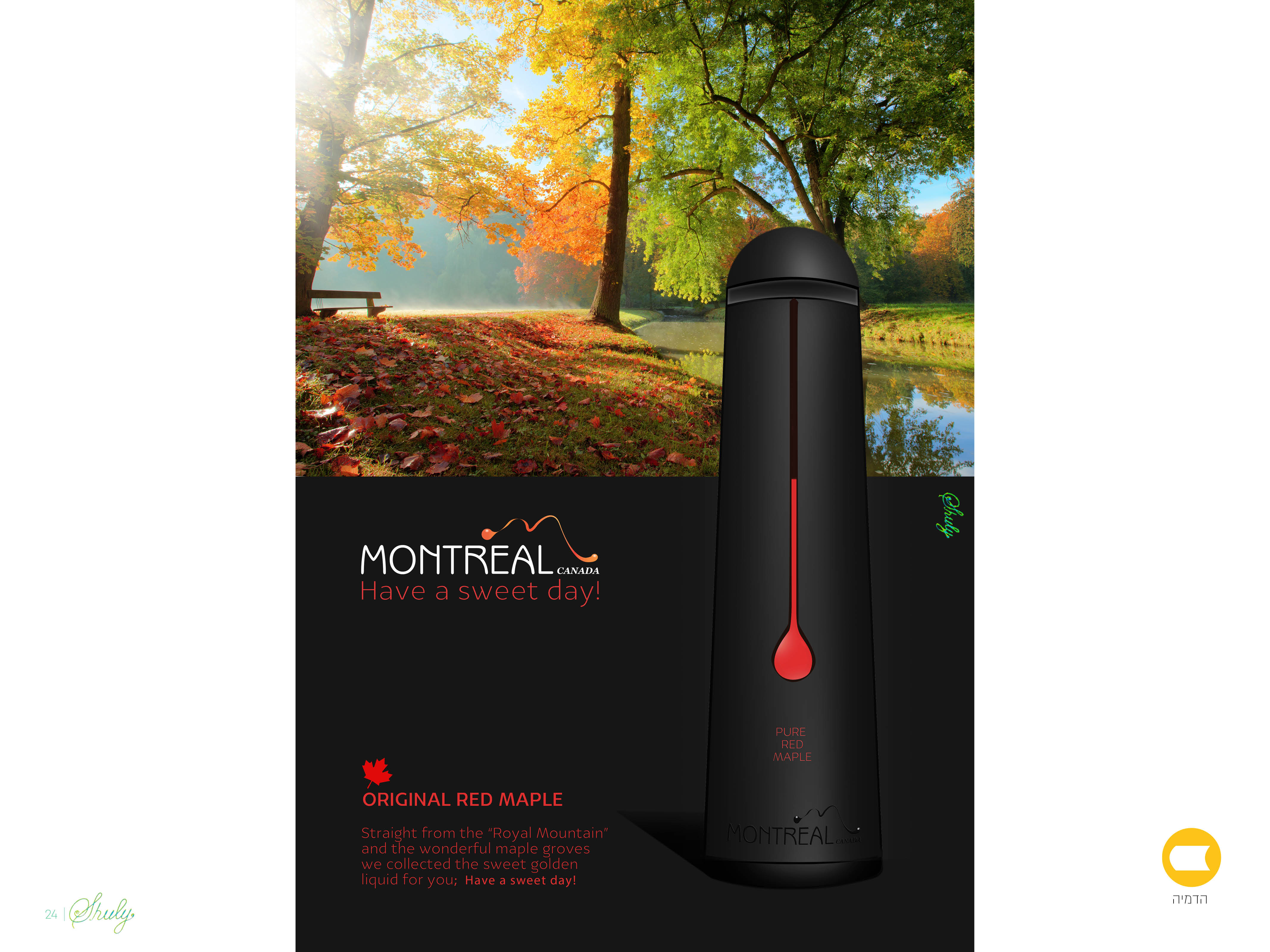 עמודי מצגת אקסטרה מדיום124.jpg