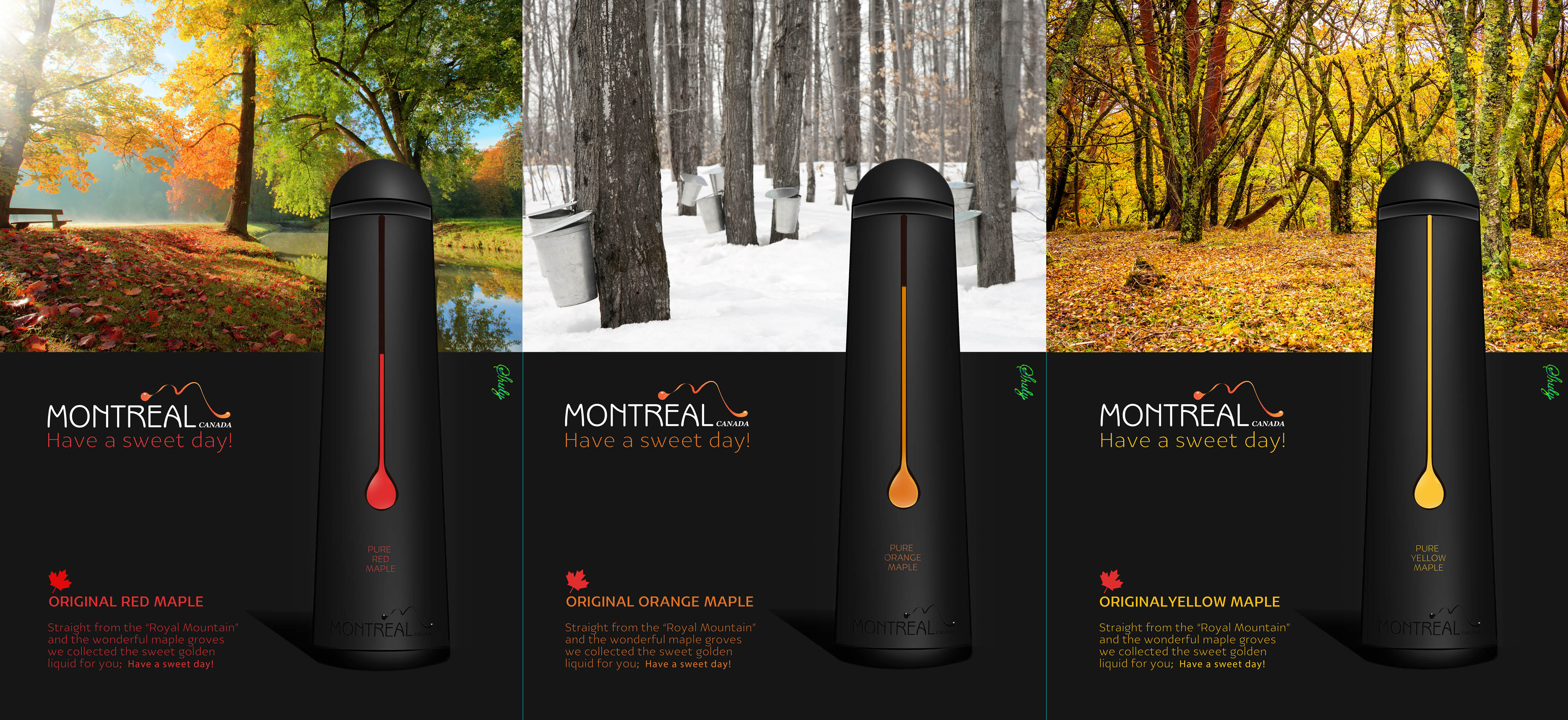 עמודי מצגת אקסטרה מדיום130.jpg