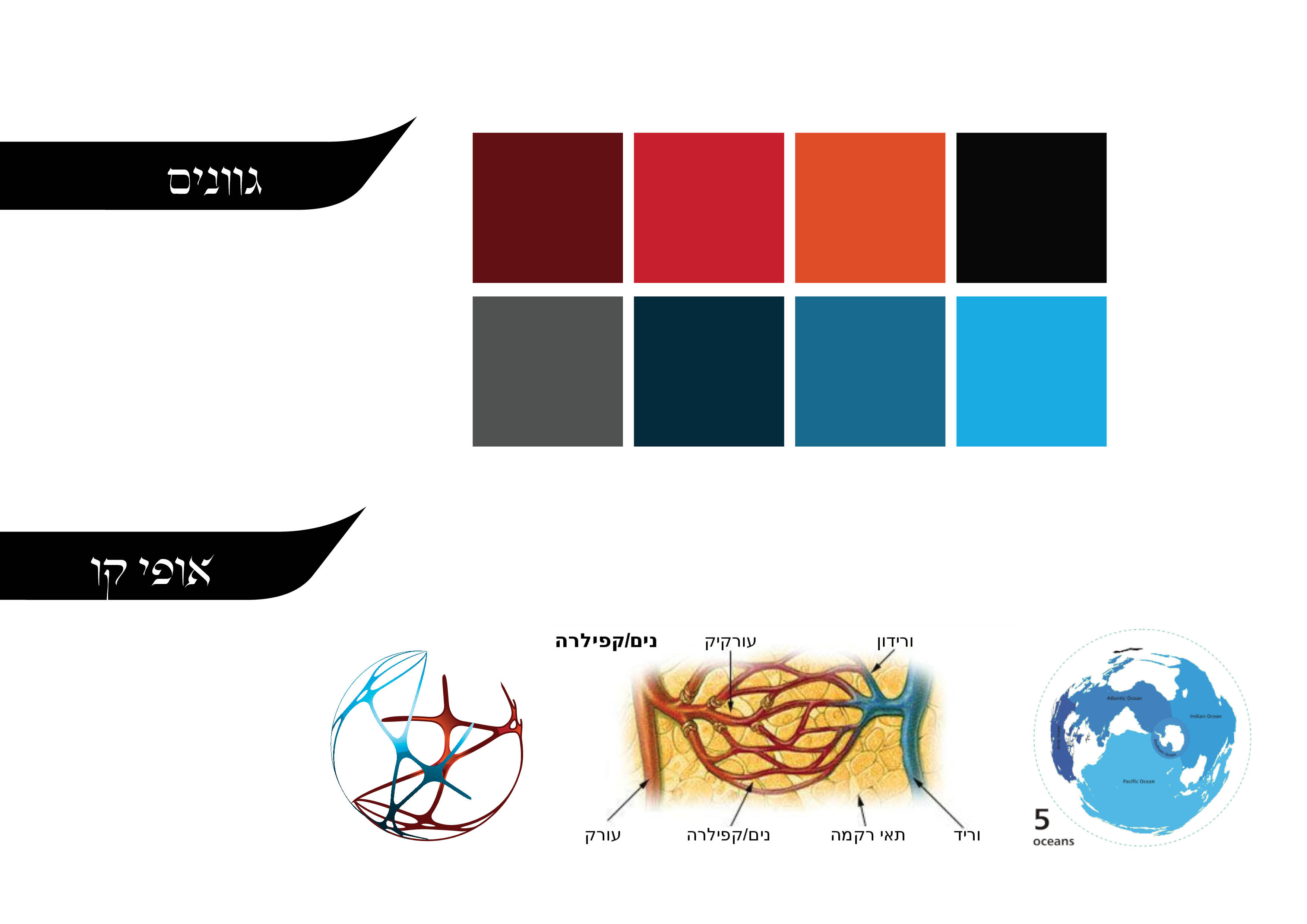 עמודי מצגת אקסטרה מדיום140.jpg