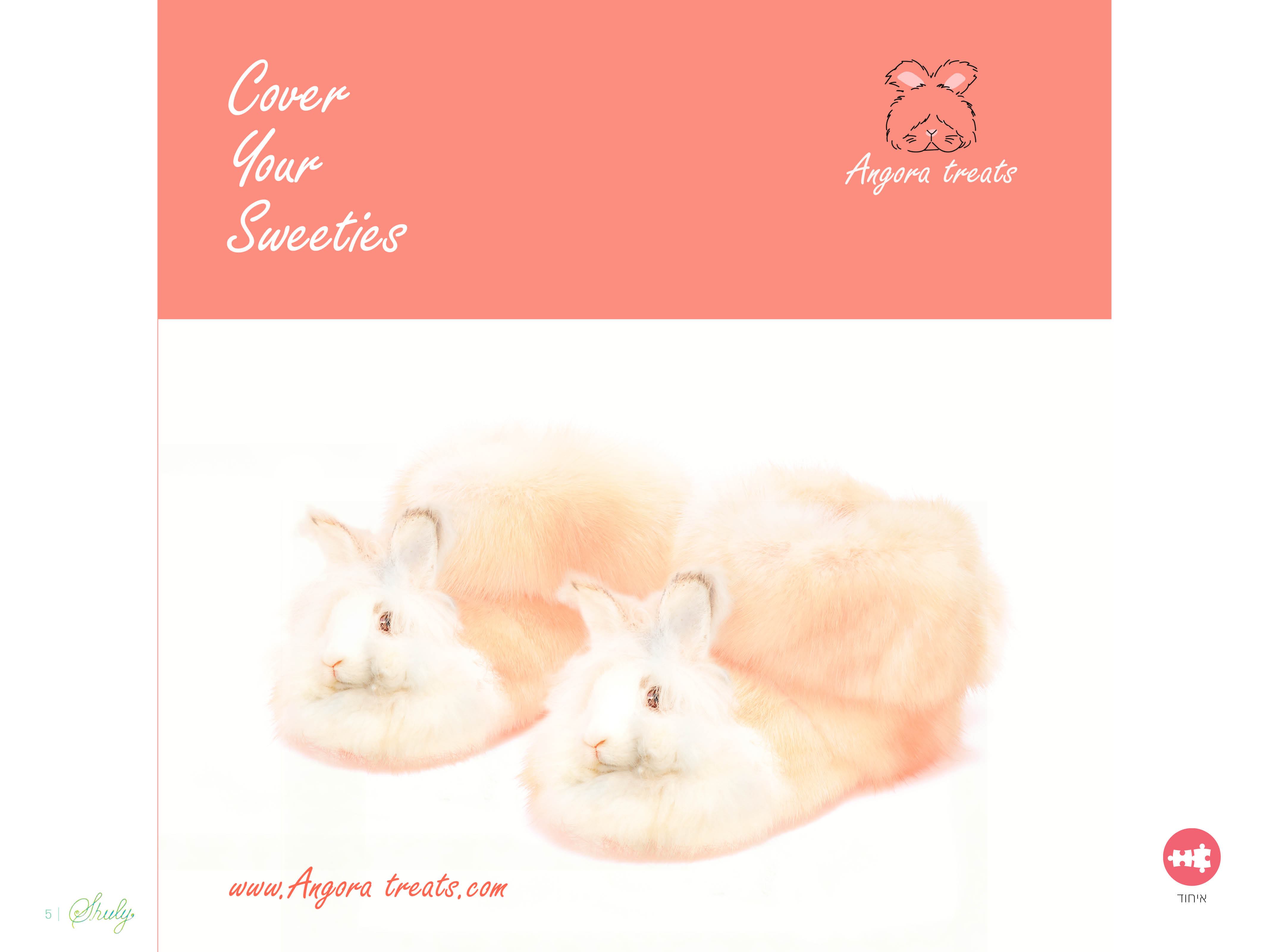 עמודי מצגת אקסטרה מדיום15.jpg