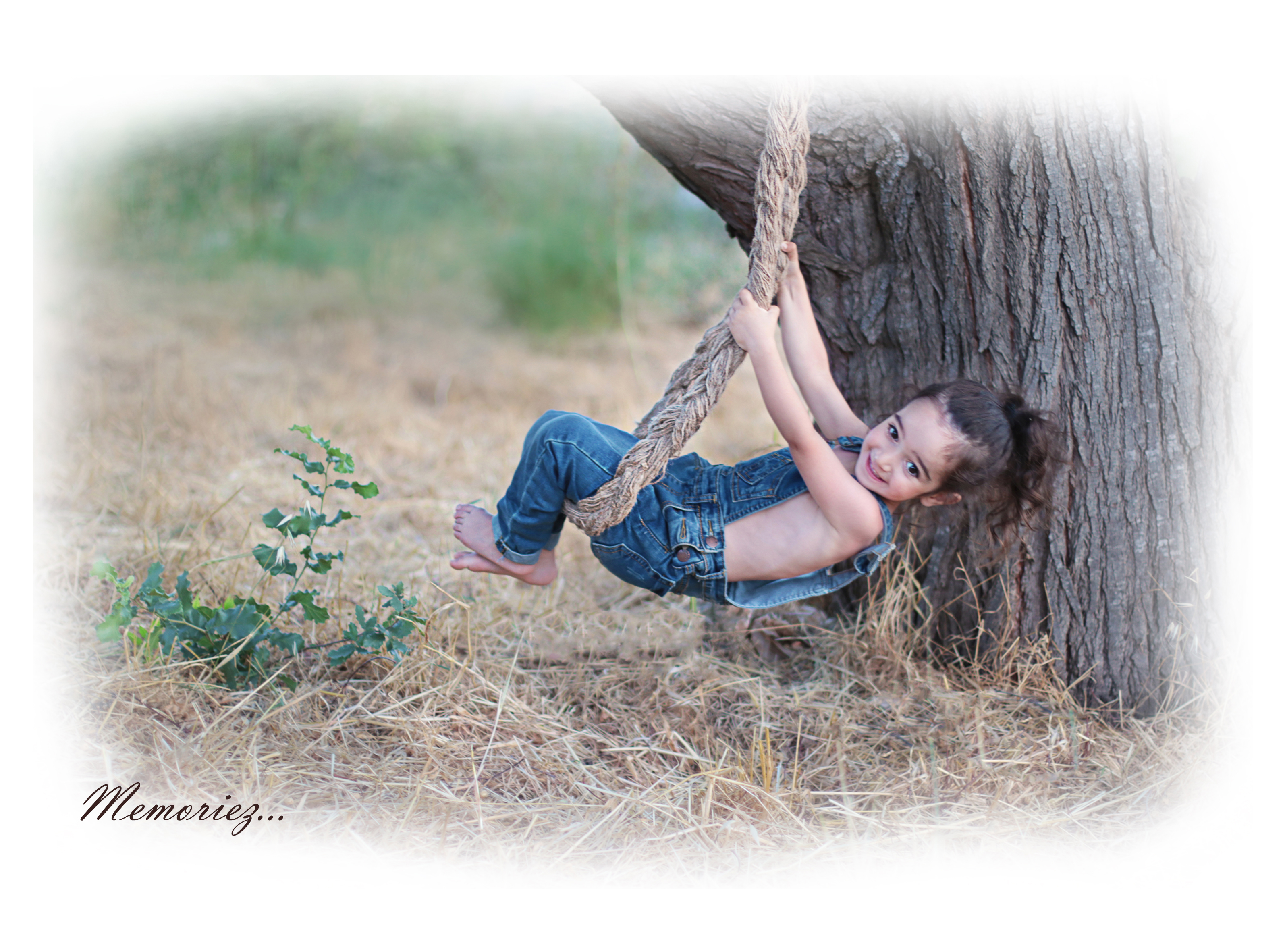 עמוד אחורי.jpg