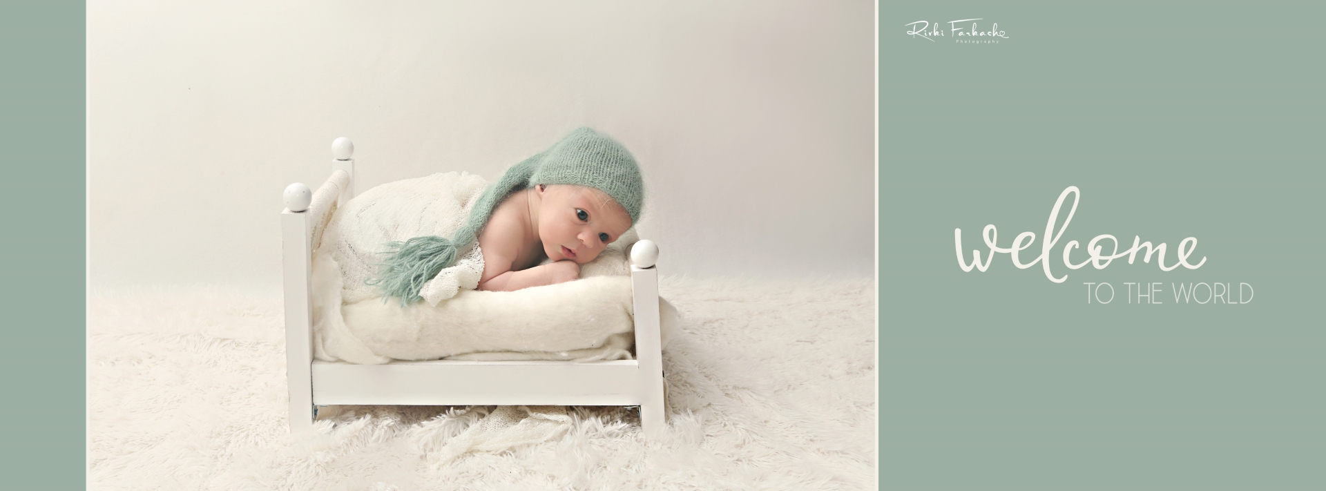 עמוד ארנב copy (Large).jpg