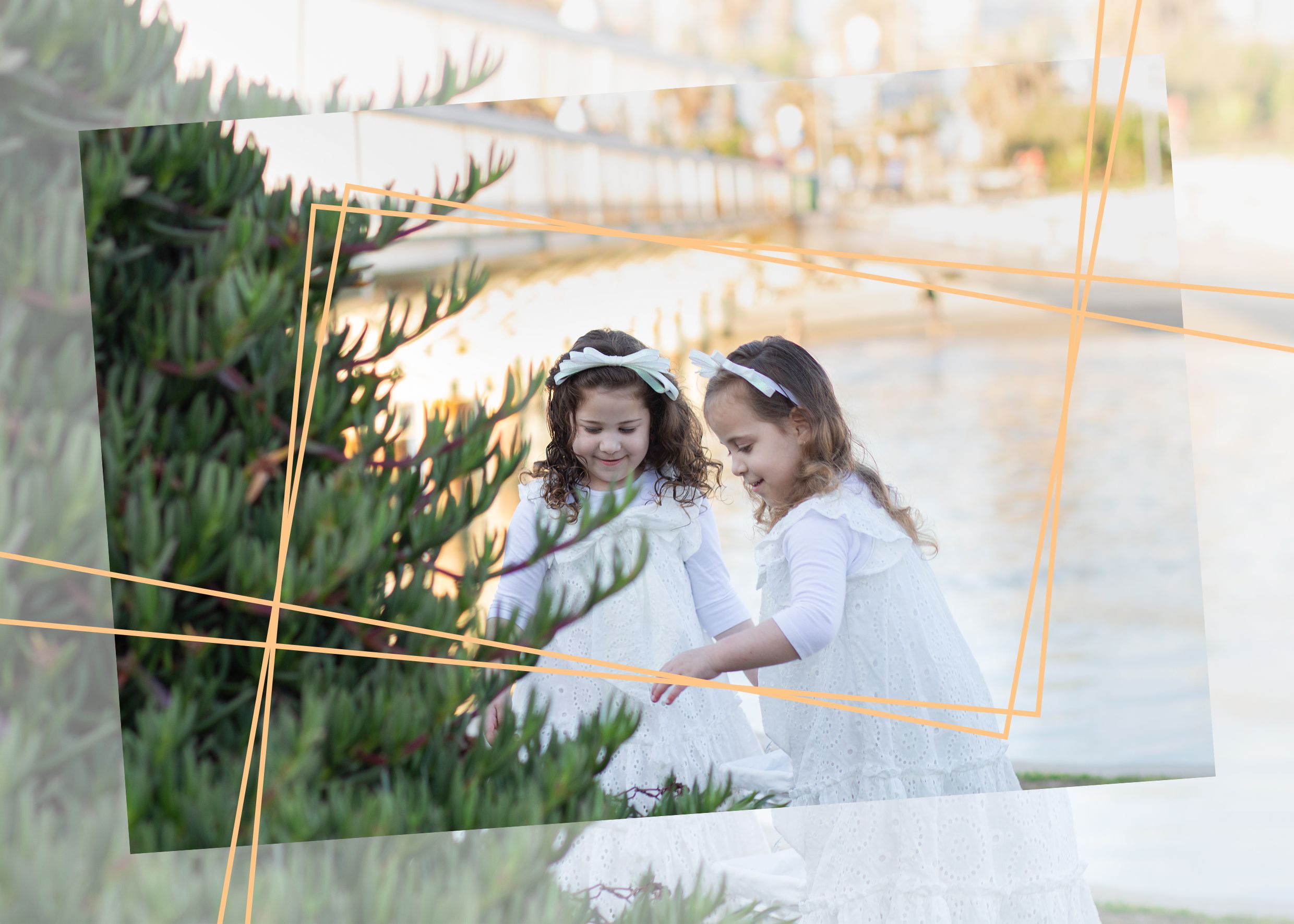 עמוד קוטפות 2.jpg