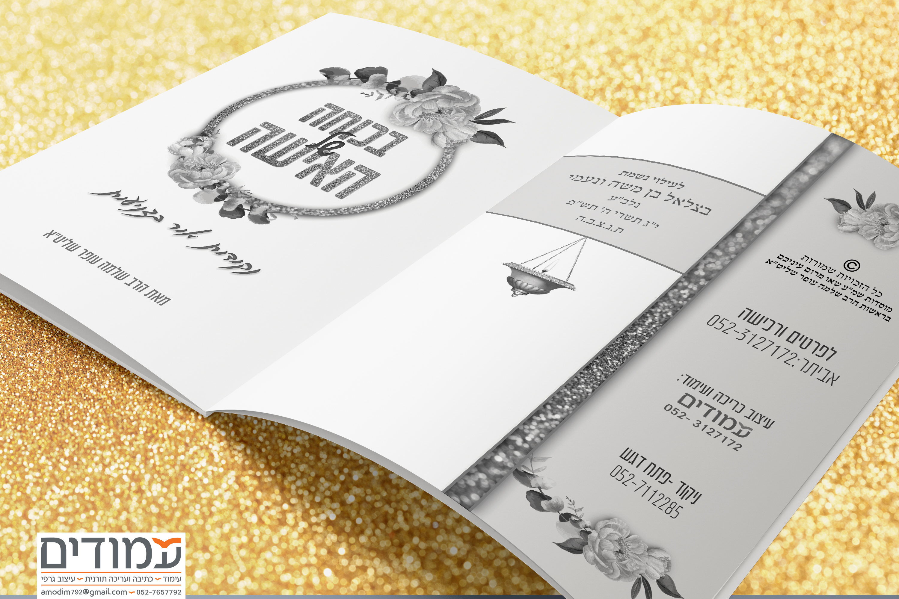 עמוד ראשון ופריטים הדמיה.jpg