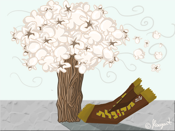 עץ פופקורן ומקופלת