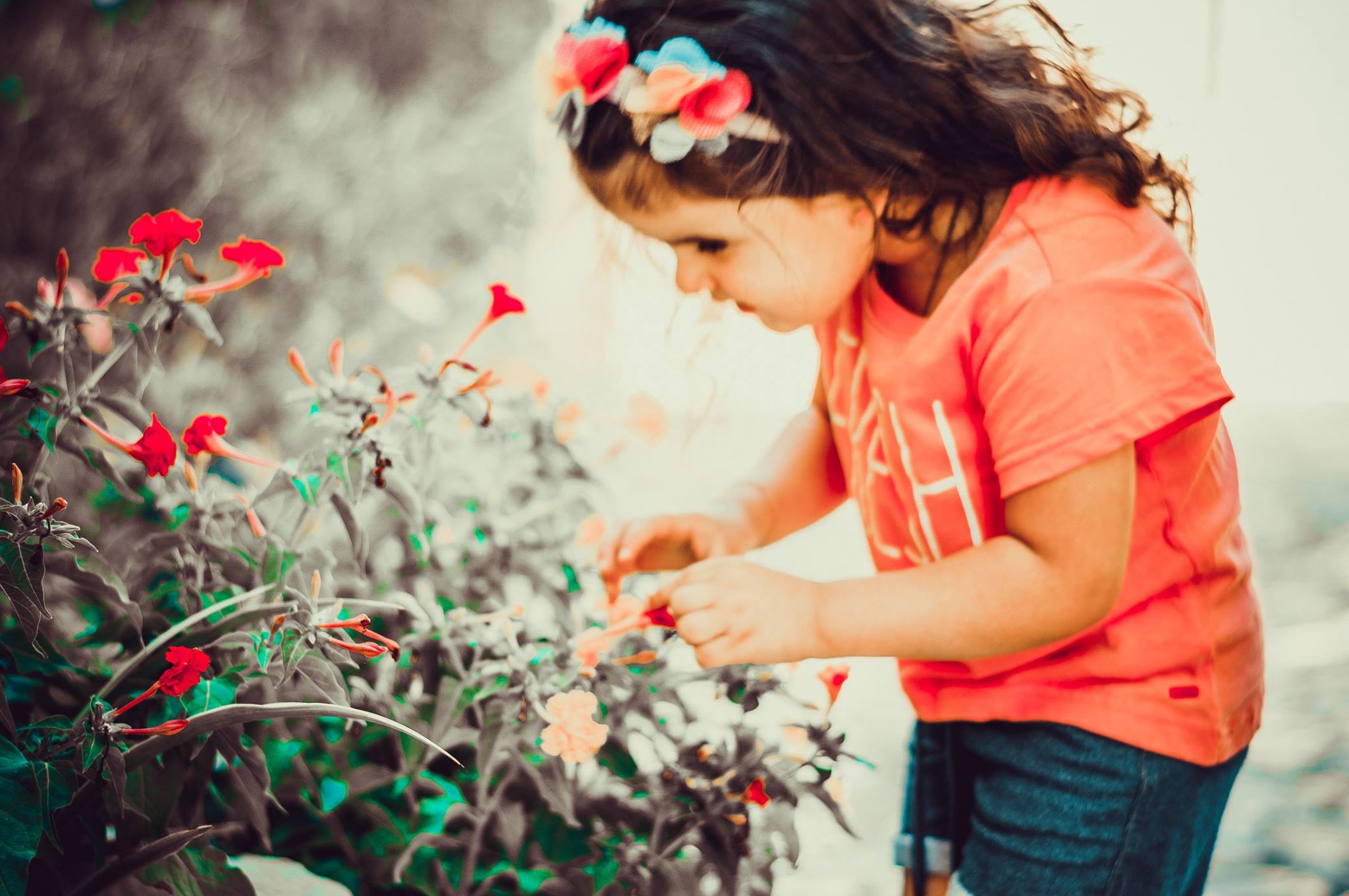 עריכת תמונות - סטודיו שלוש