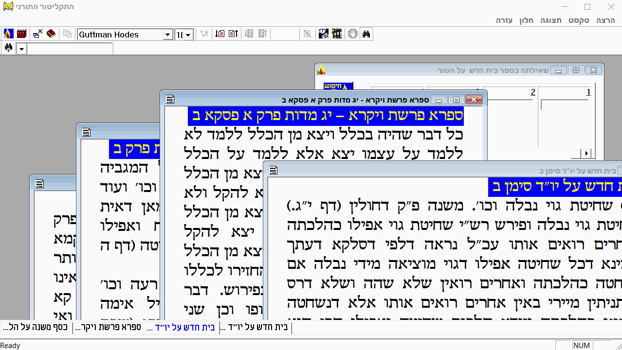 פאנל עיגון בתקליטור התורני.gif