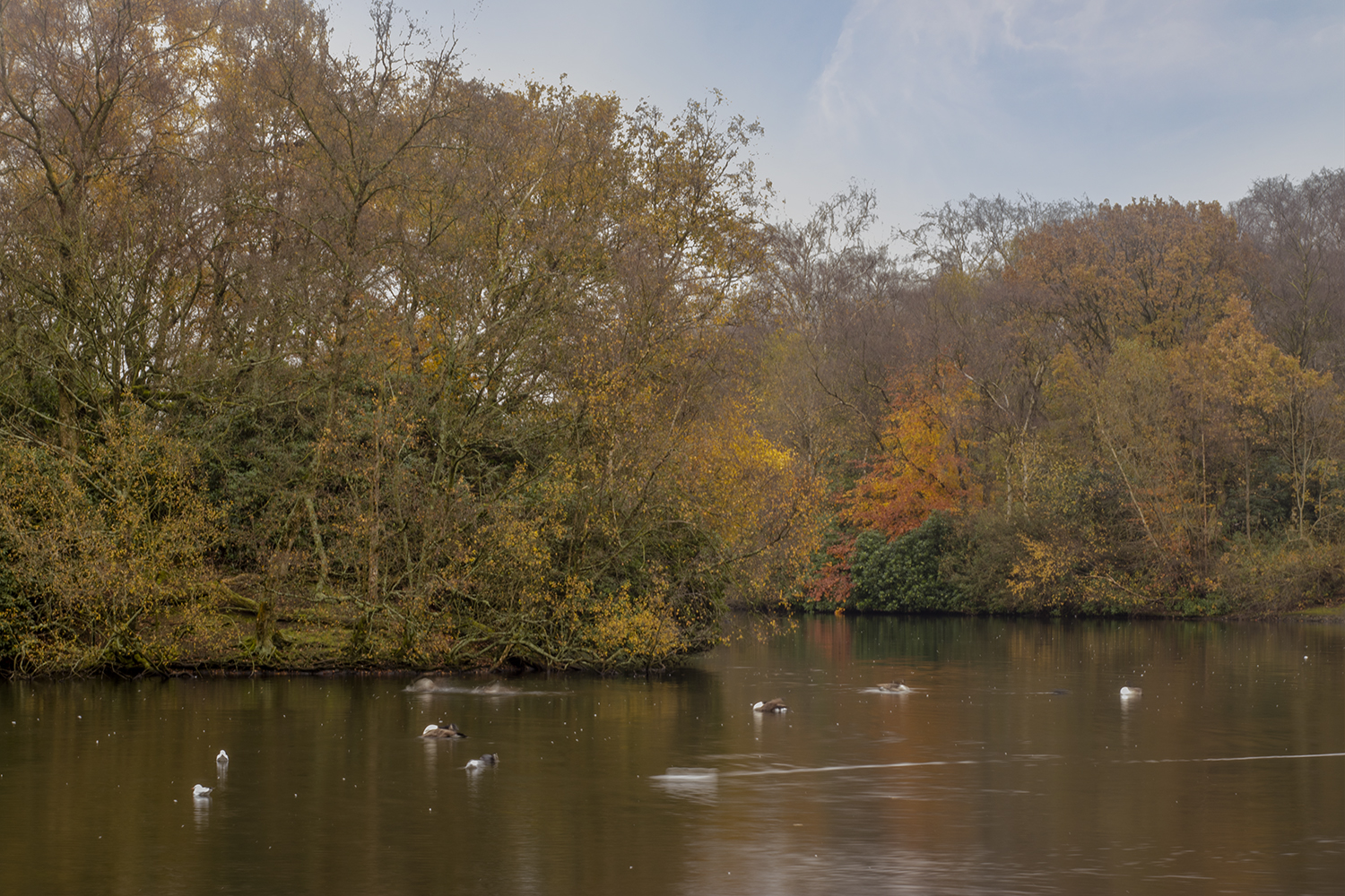 פארק היטן במנצסטר (2)