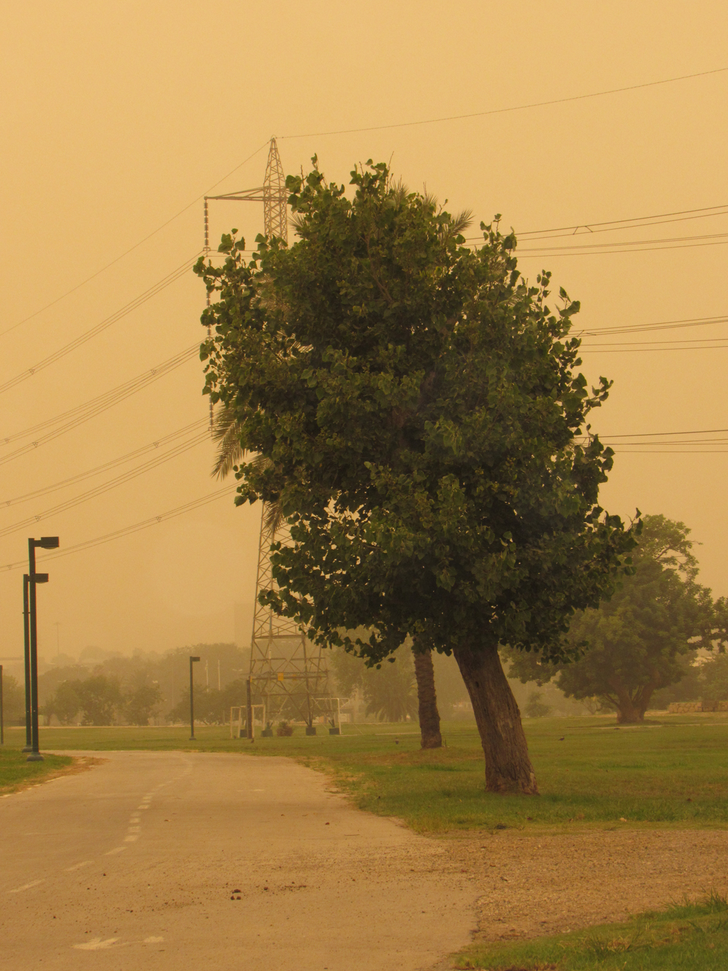 פארק הירקון באובך (1)