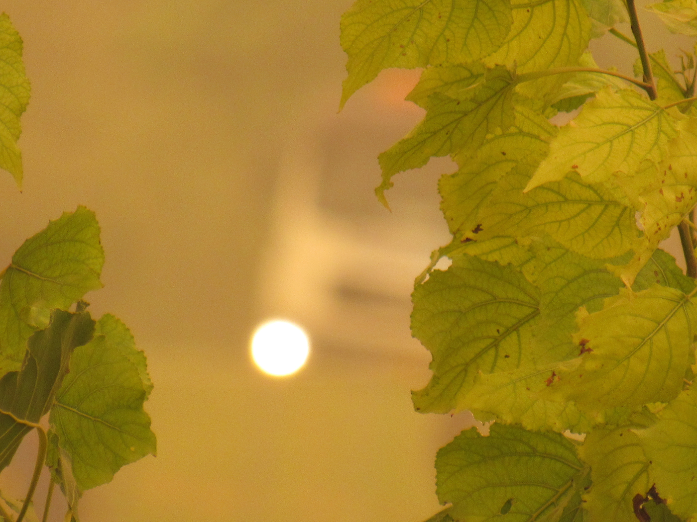 פארק הירקון באובך (2)