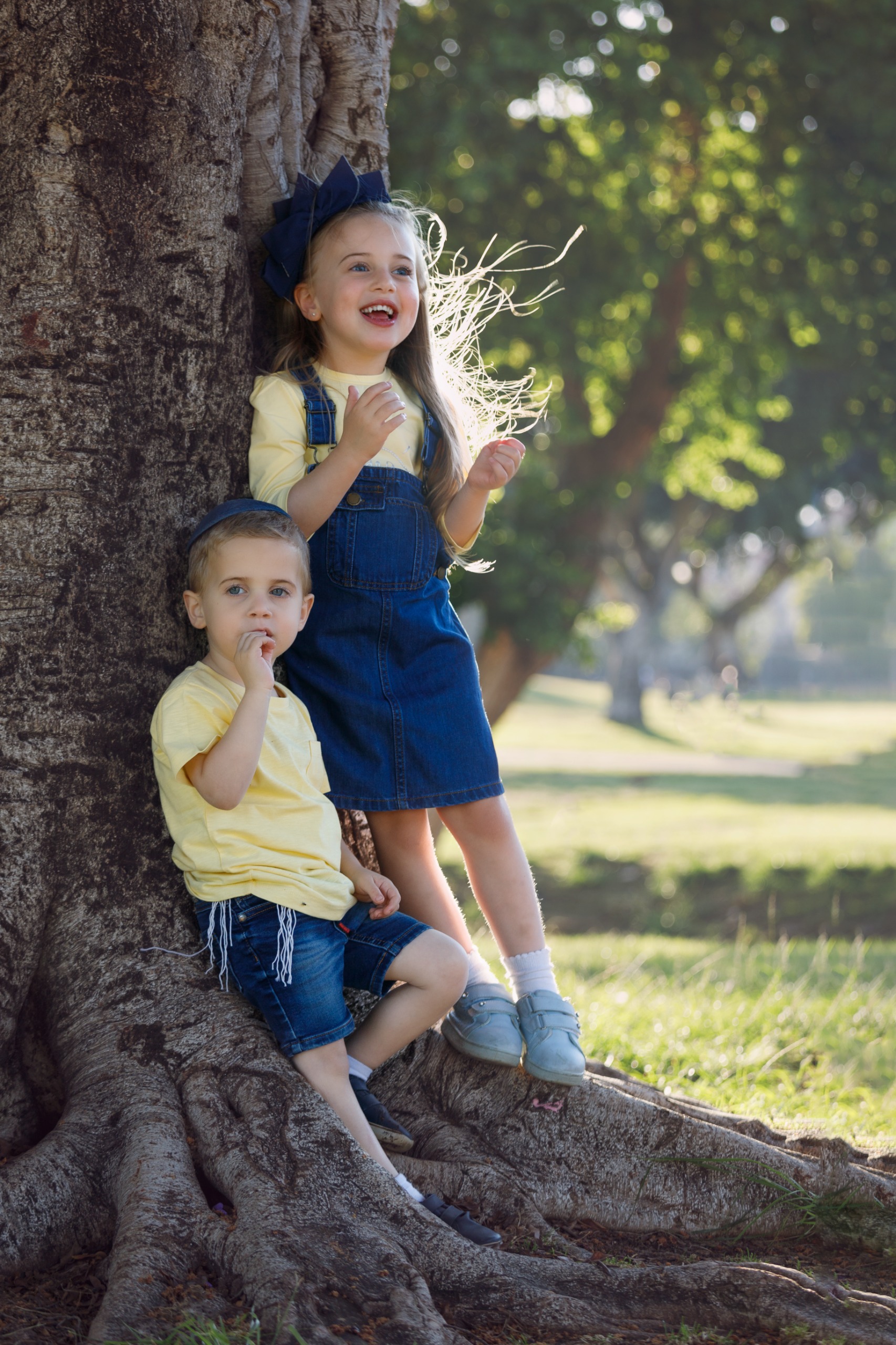 פארק הלאומי