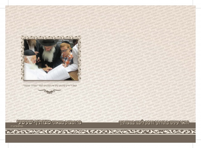 פורזץ אחורי