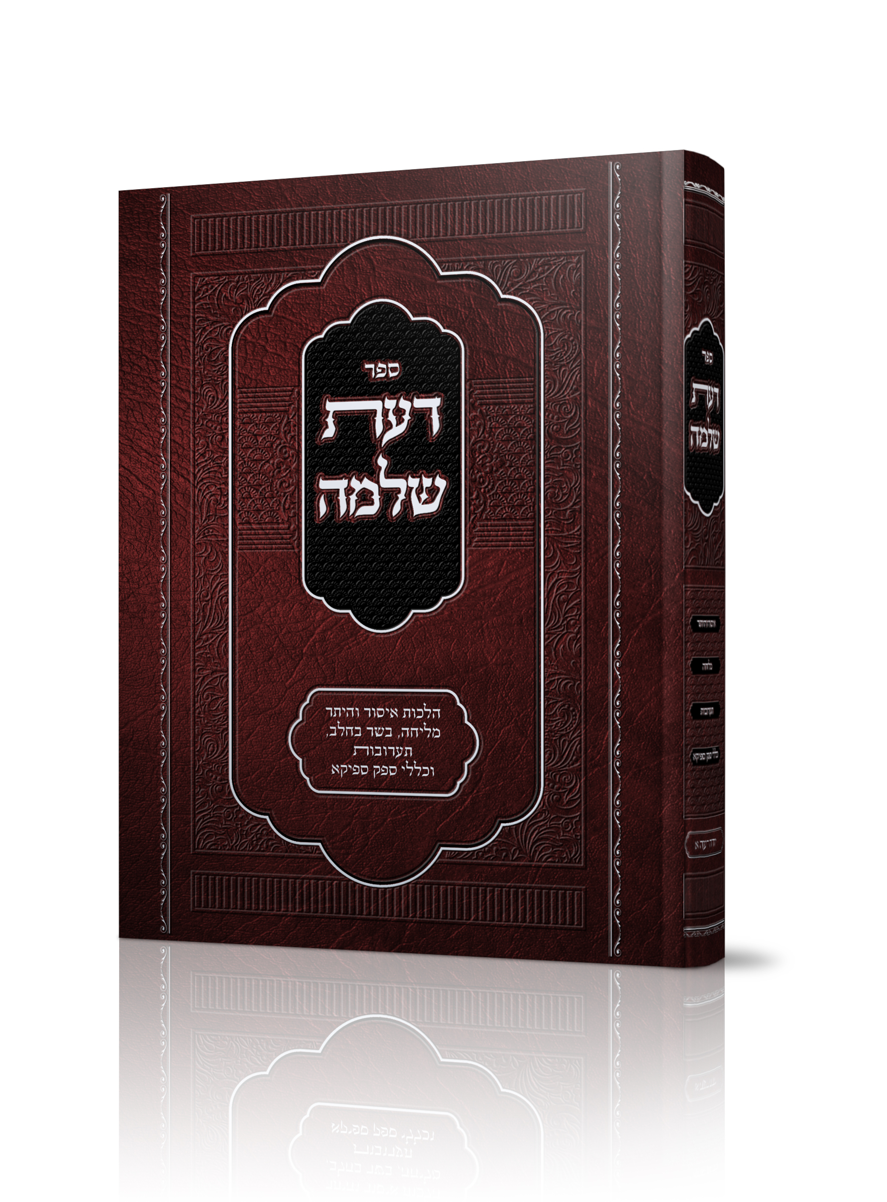 פחות בהיר.jpg