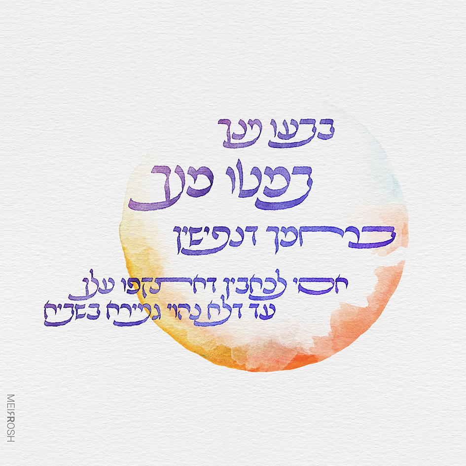 פיוט מחי ומסי MeirRoshDeisgn4 [טיפו' בפונט קלבריה של הניק נקודת מחשבה]