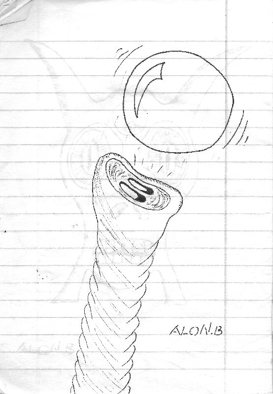 פיל עם כדור