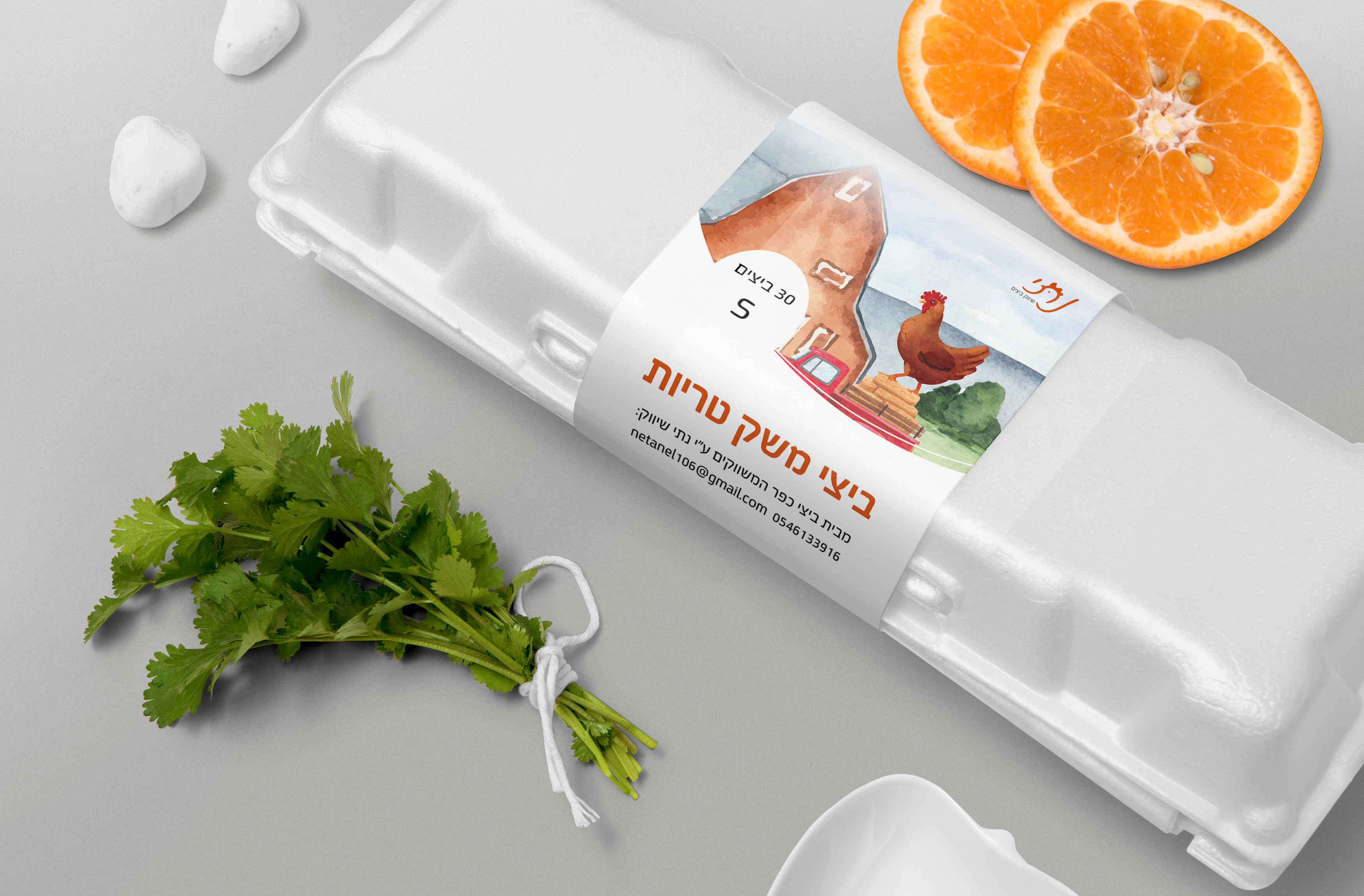 פלייר לתבנית ביצים