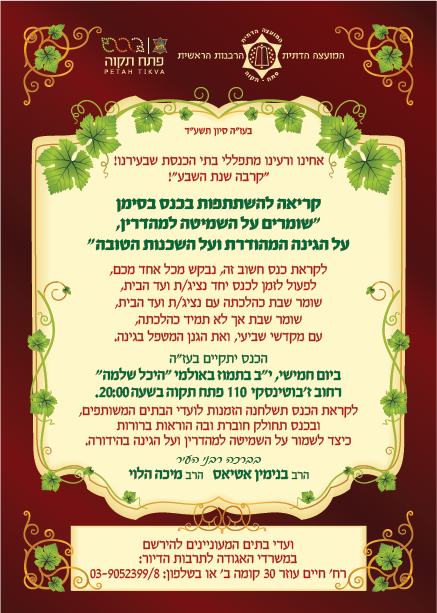 פלייר שמיטה