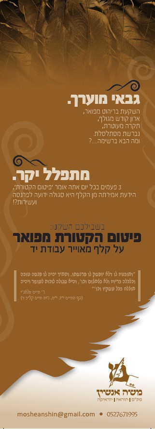 פלייר 2 משה אנשין.jpg