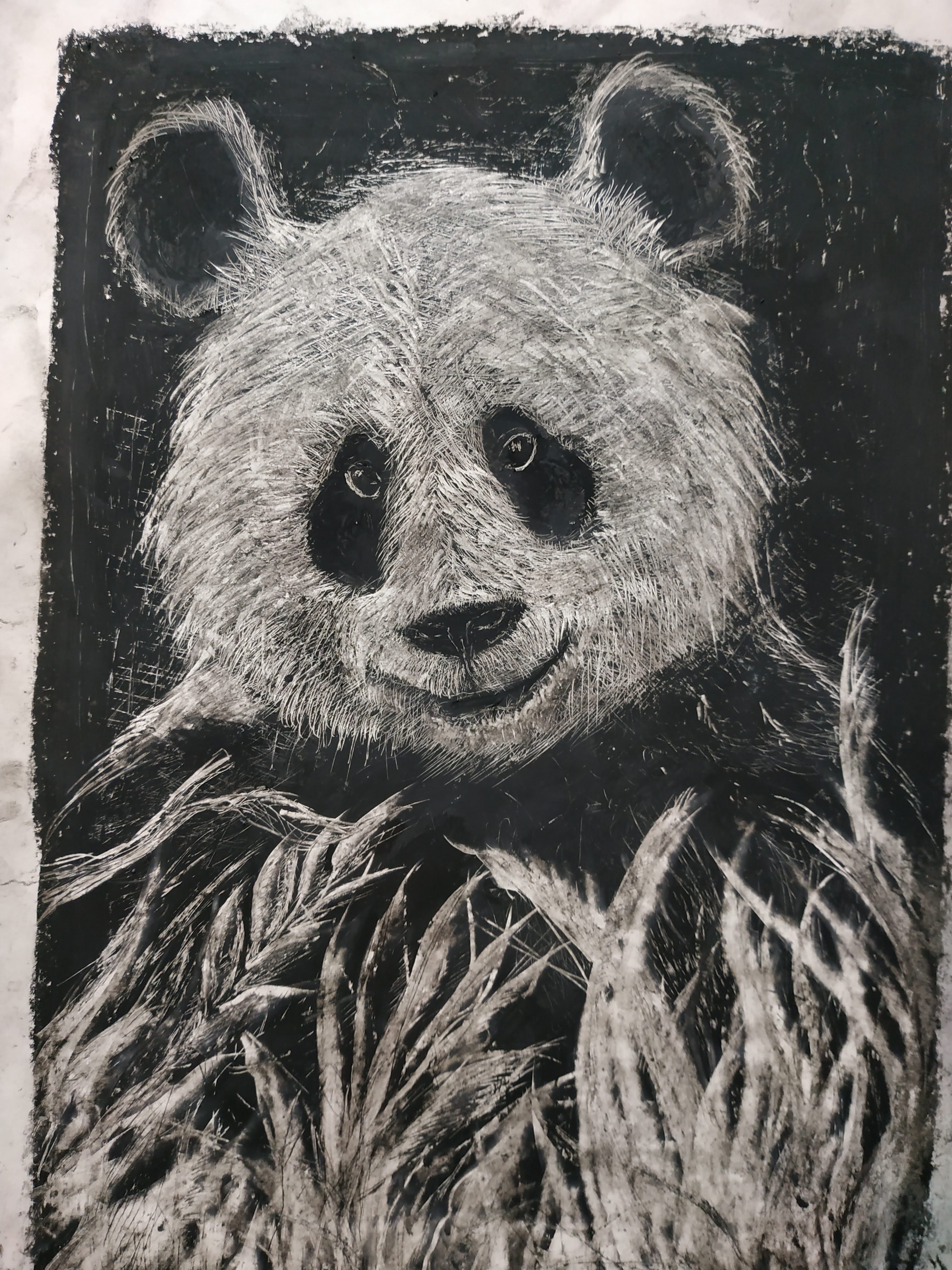 פנדה. גירי שמן (פנדה) וחריטות עם סכין