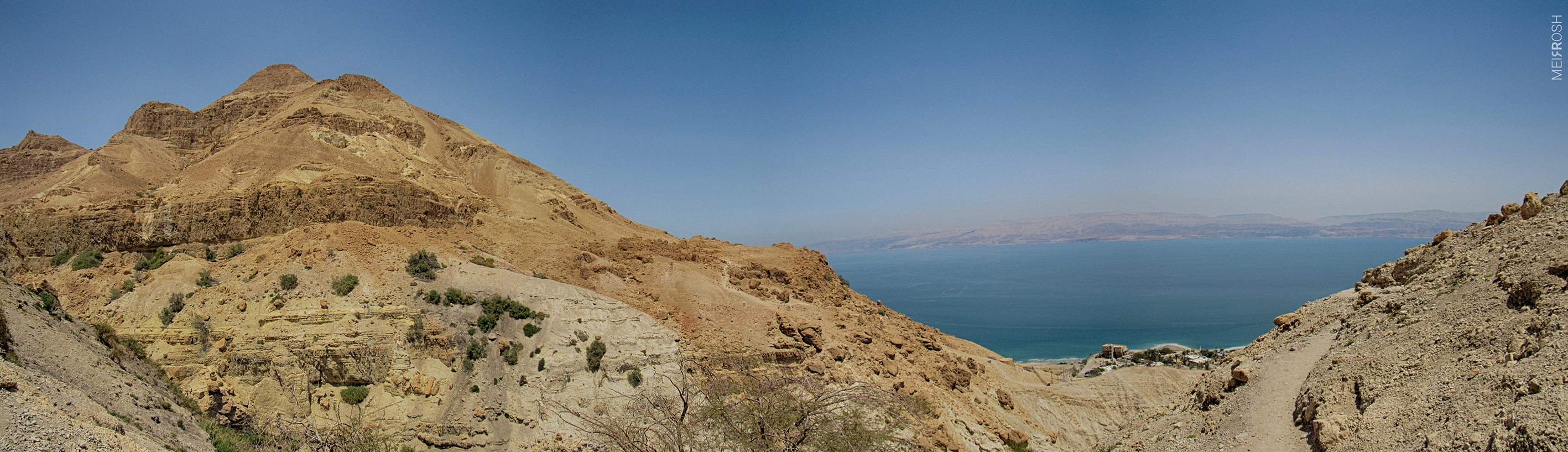 פנורמה עין גדי