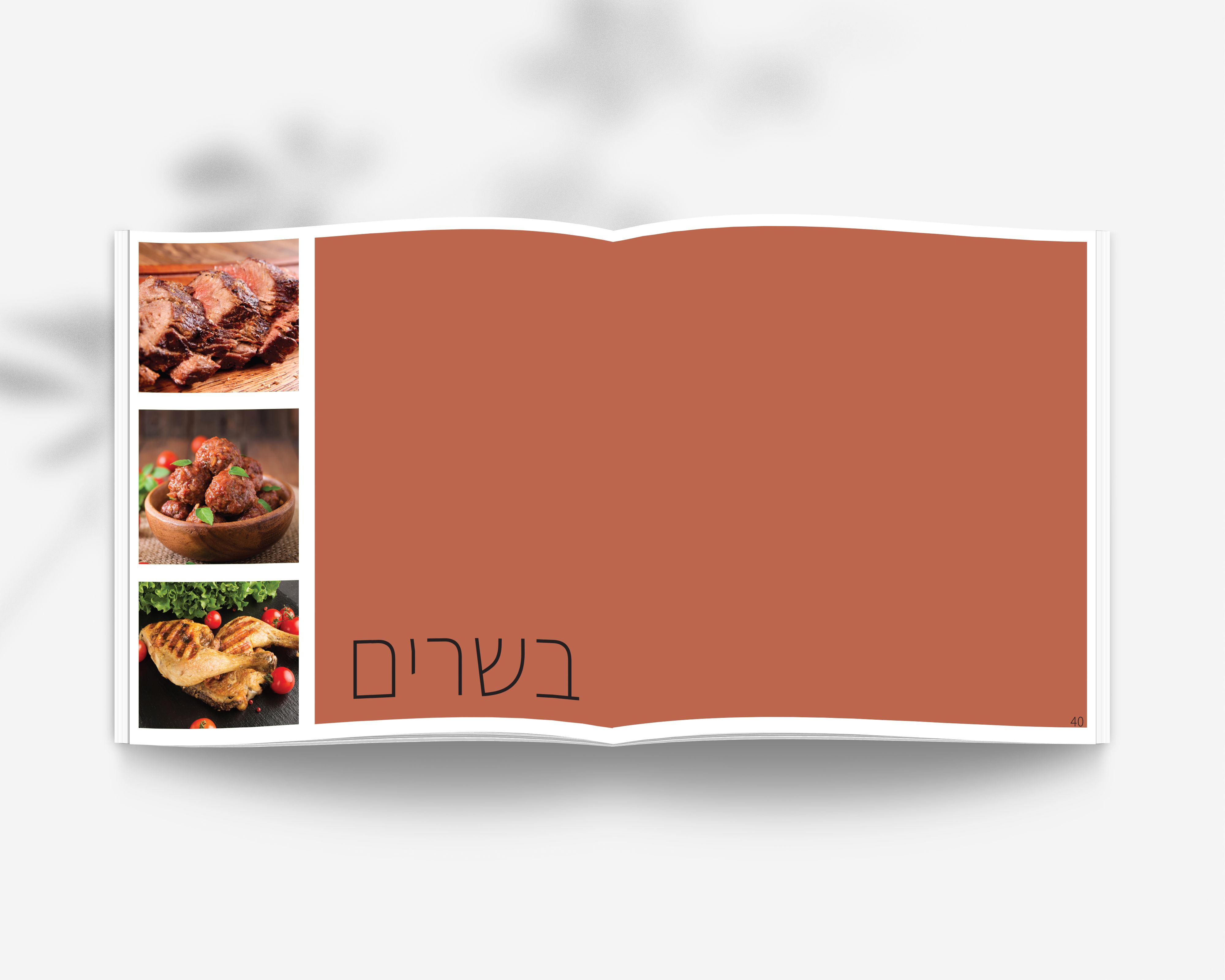 פנים הספר: קטגוריה