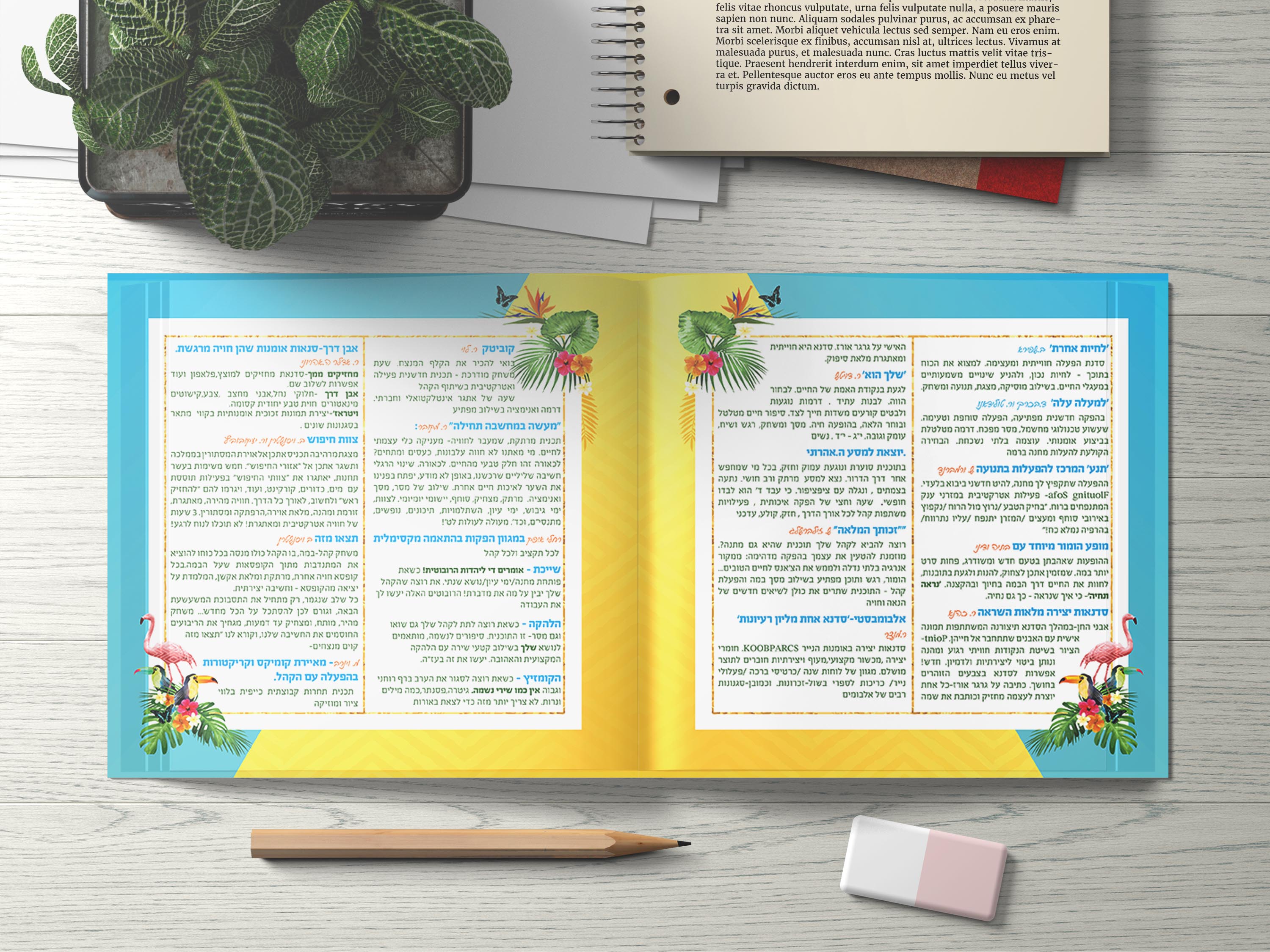 פנים הפלייר