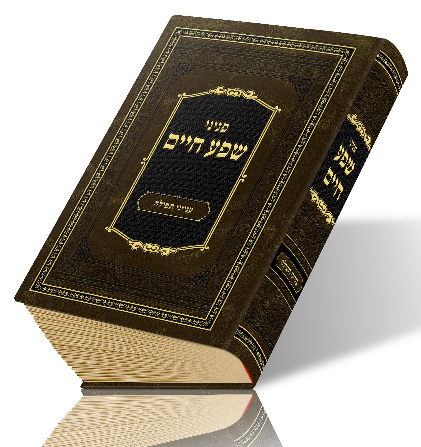 פניני שפע חיים