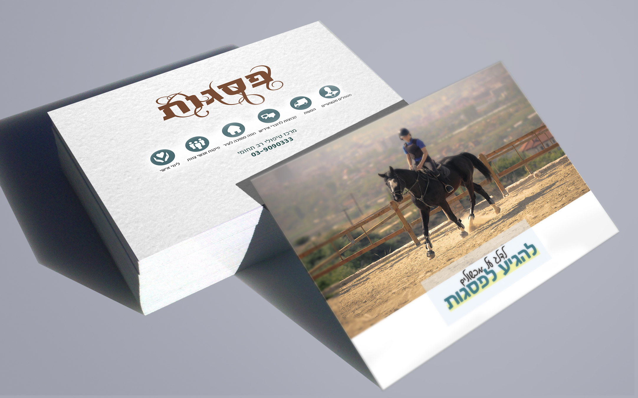 פסגות כרטיס.jpg