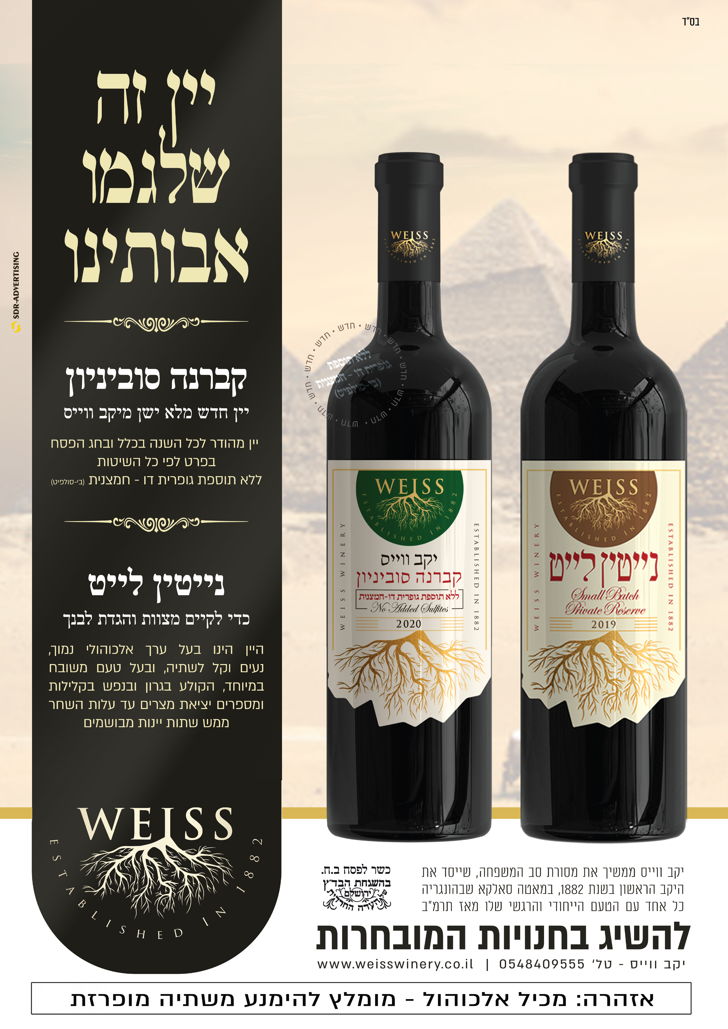 פסח קברנה ונייטין.png