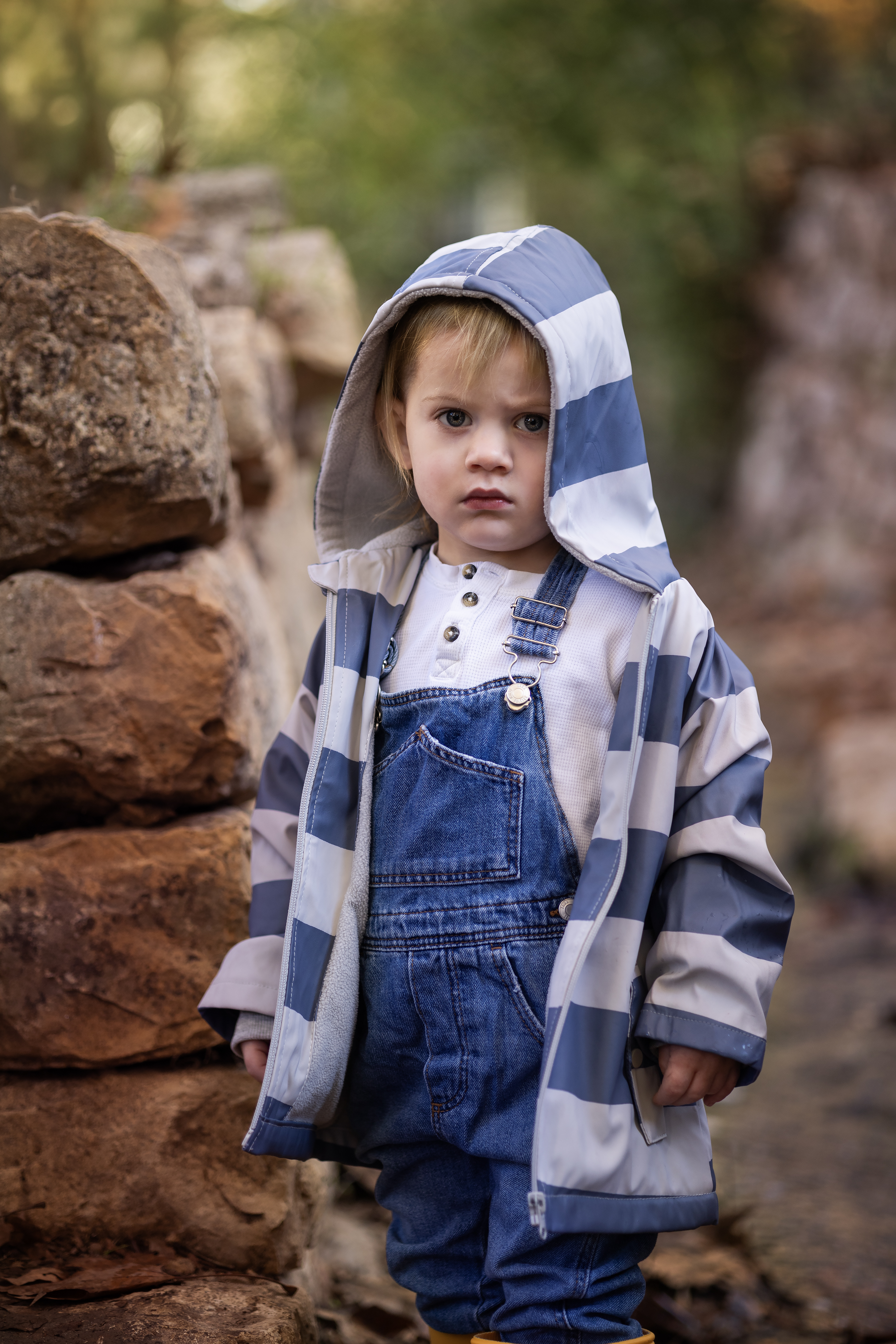 פעסי קרל 0548464421.jpg