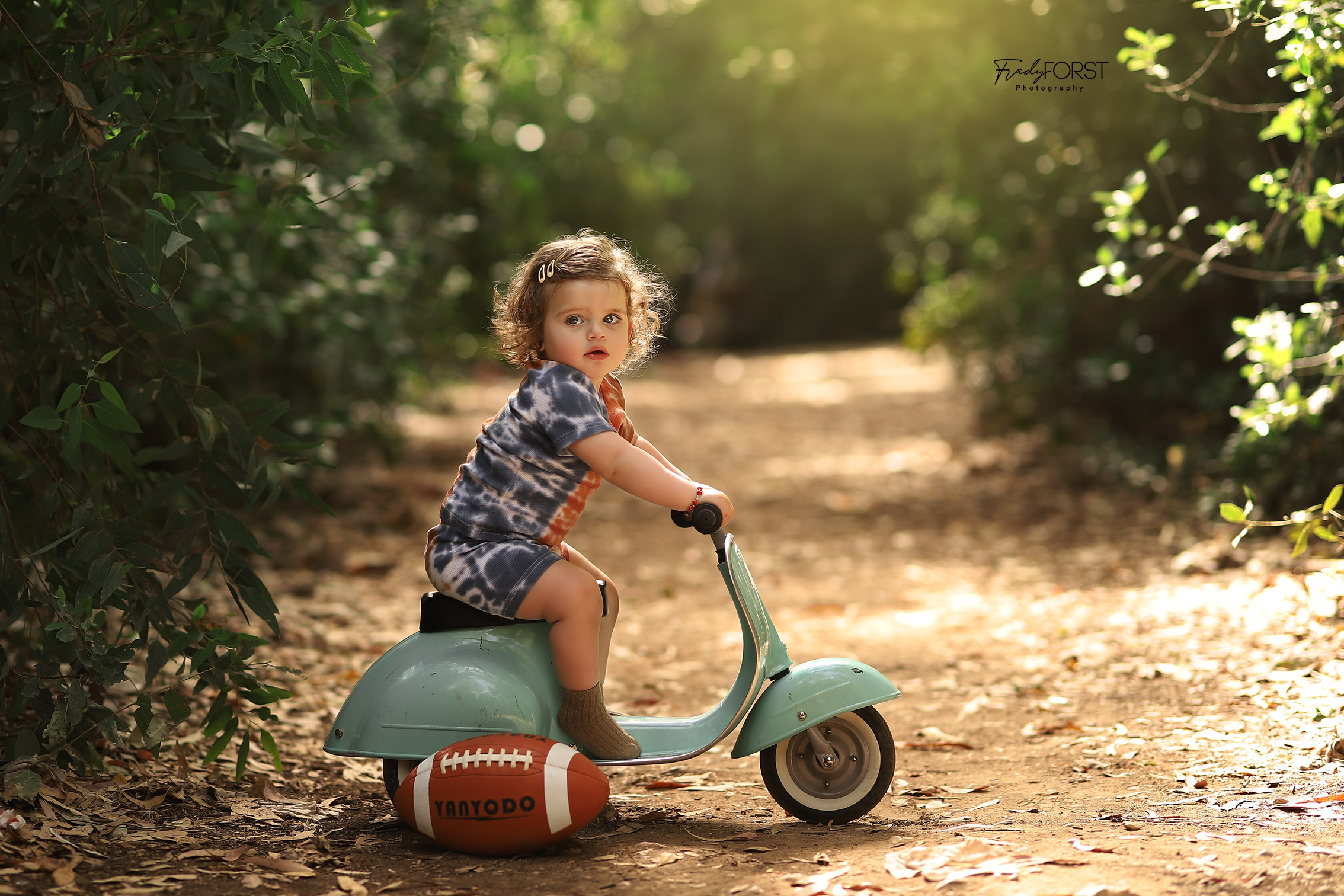 פראדי פורסט צילום 0533136818