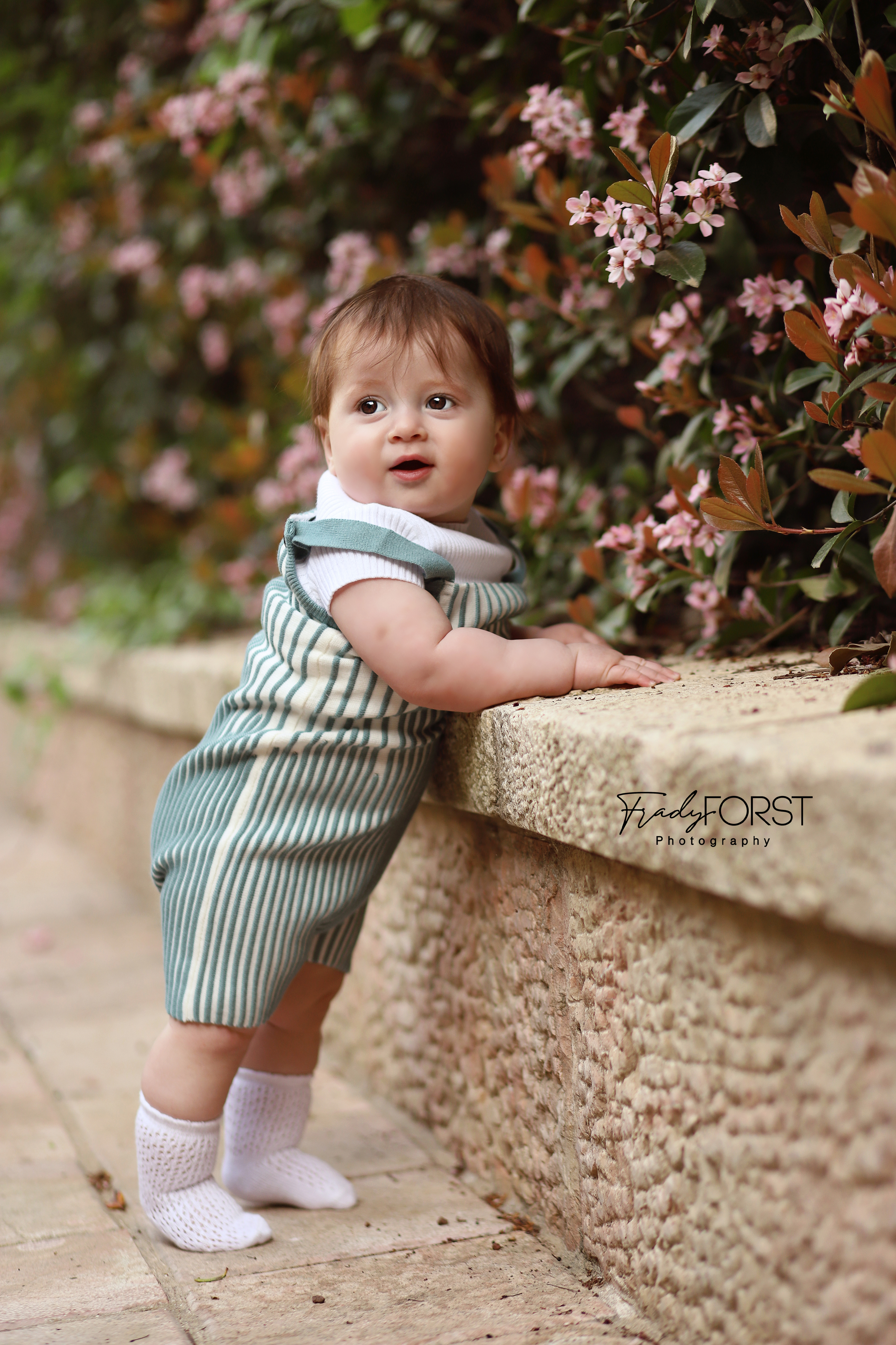 פראדי פורסט צלמת- 0533136818