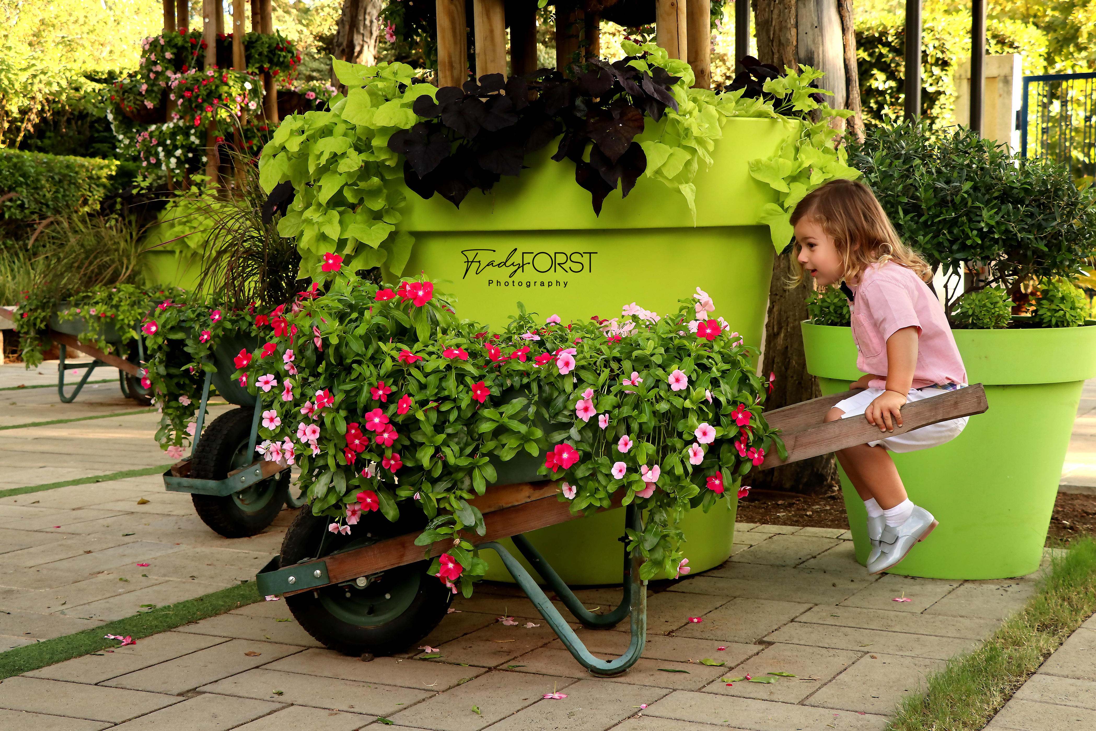 פראדי פורסט צלמת- 0533136818