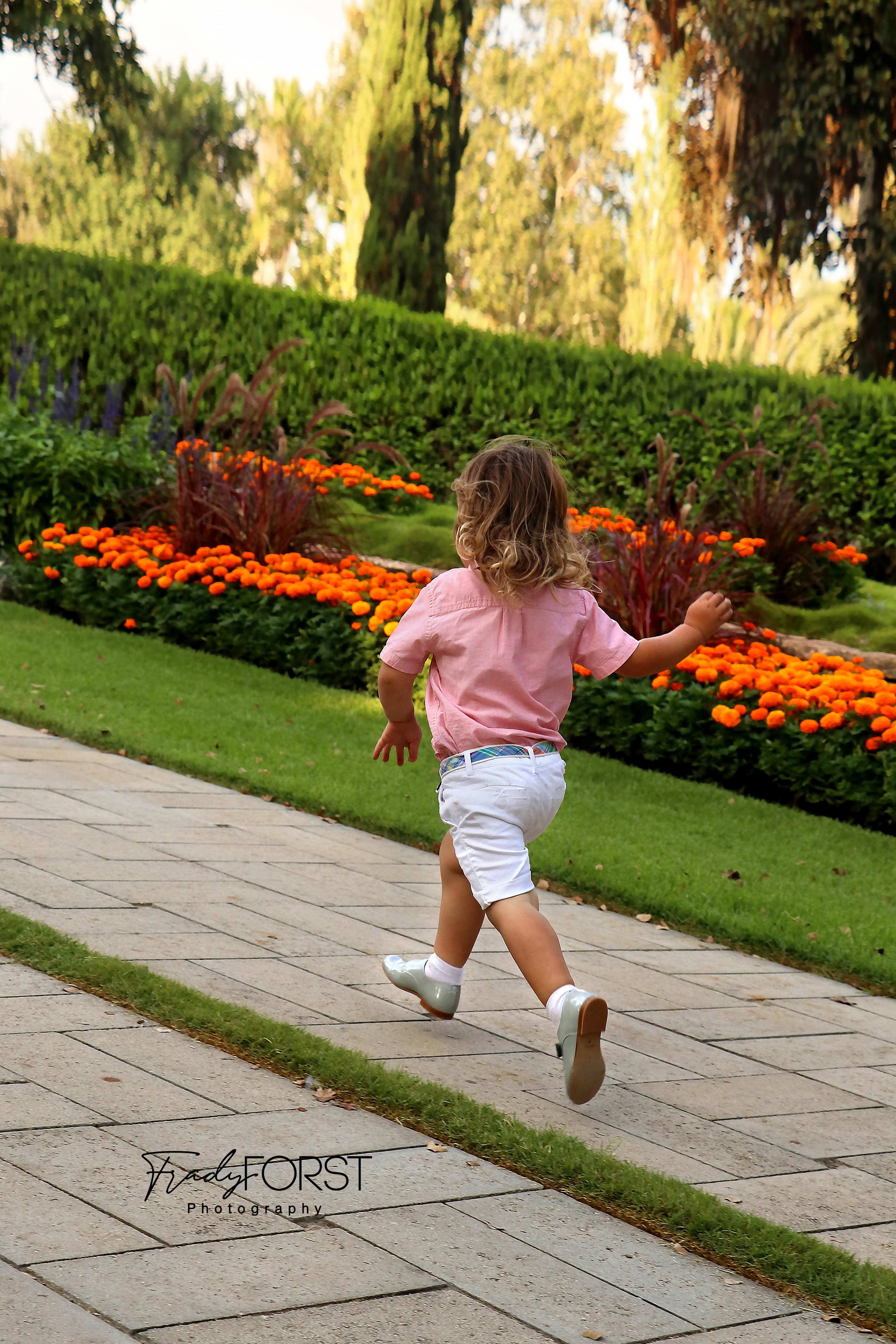 פראדי פורסט צלמת- 0533136818