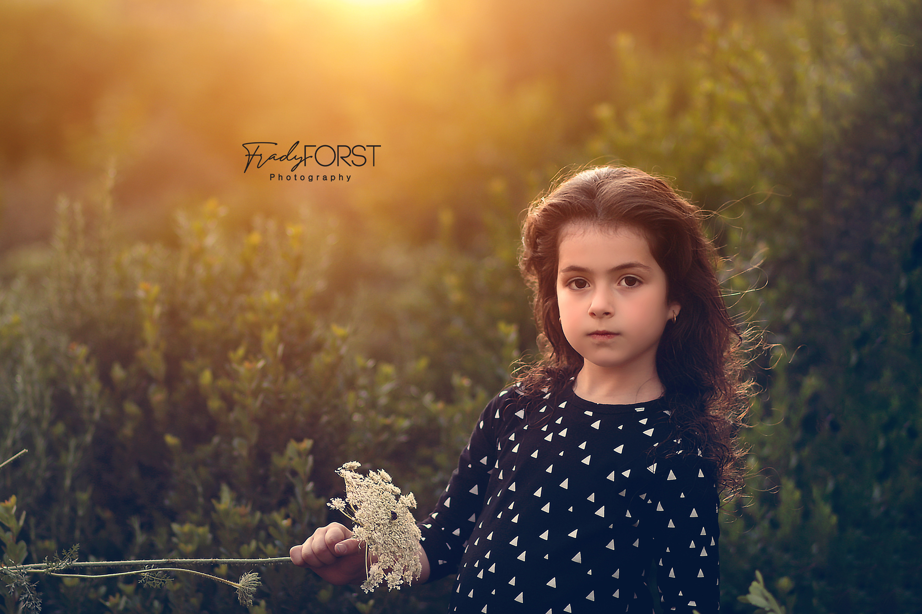 פראדי פורסט צלמת- 0533136818