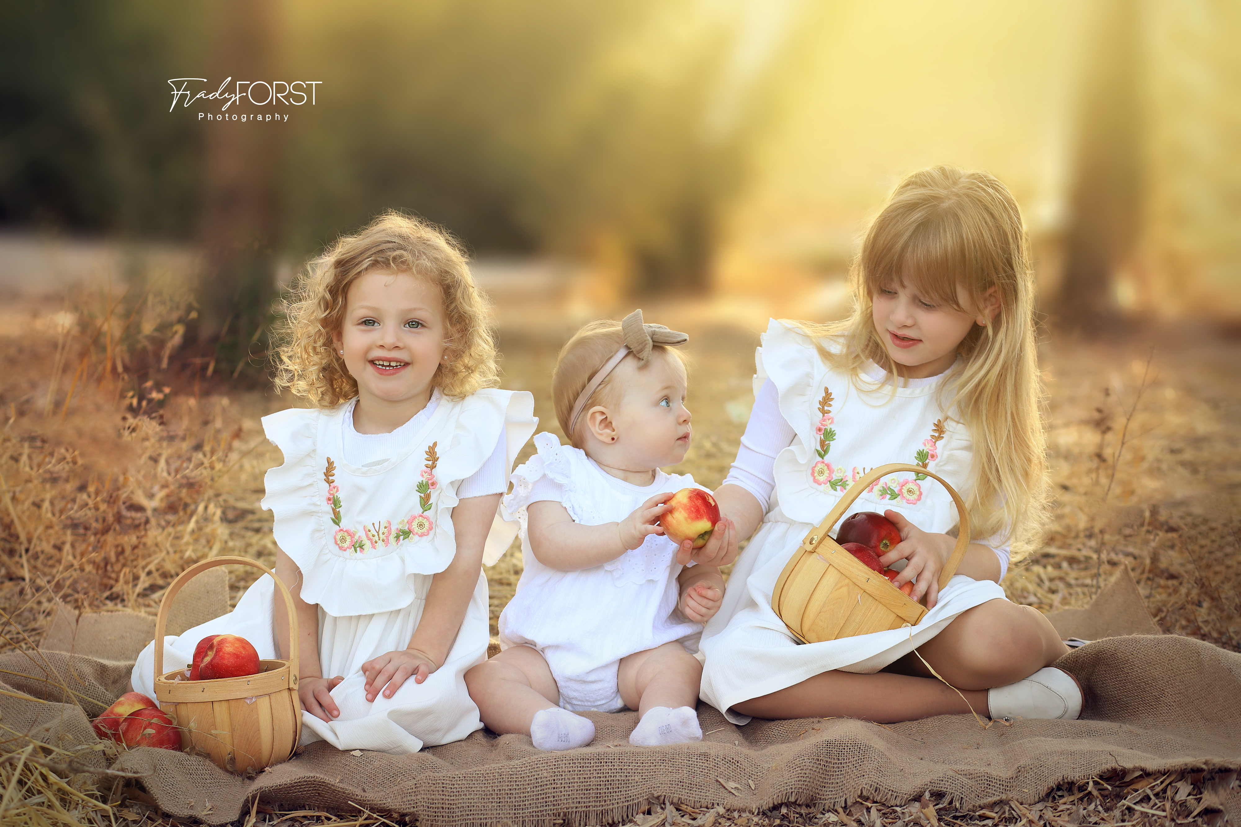 פראדי פורסט צלמת- 0533136818