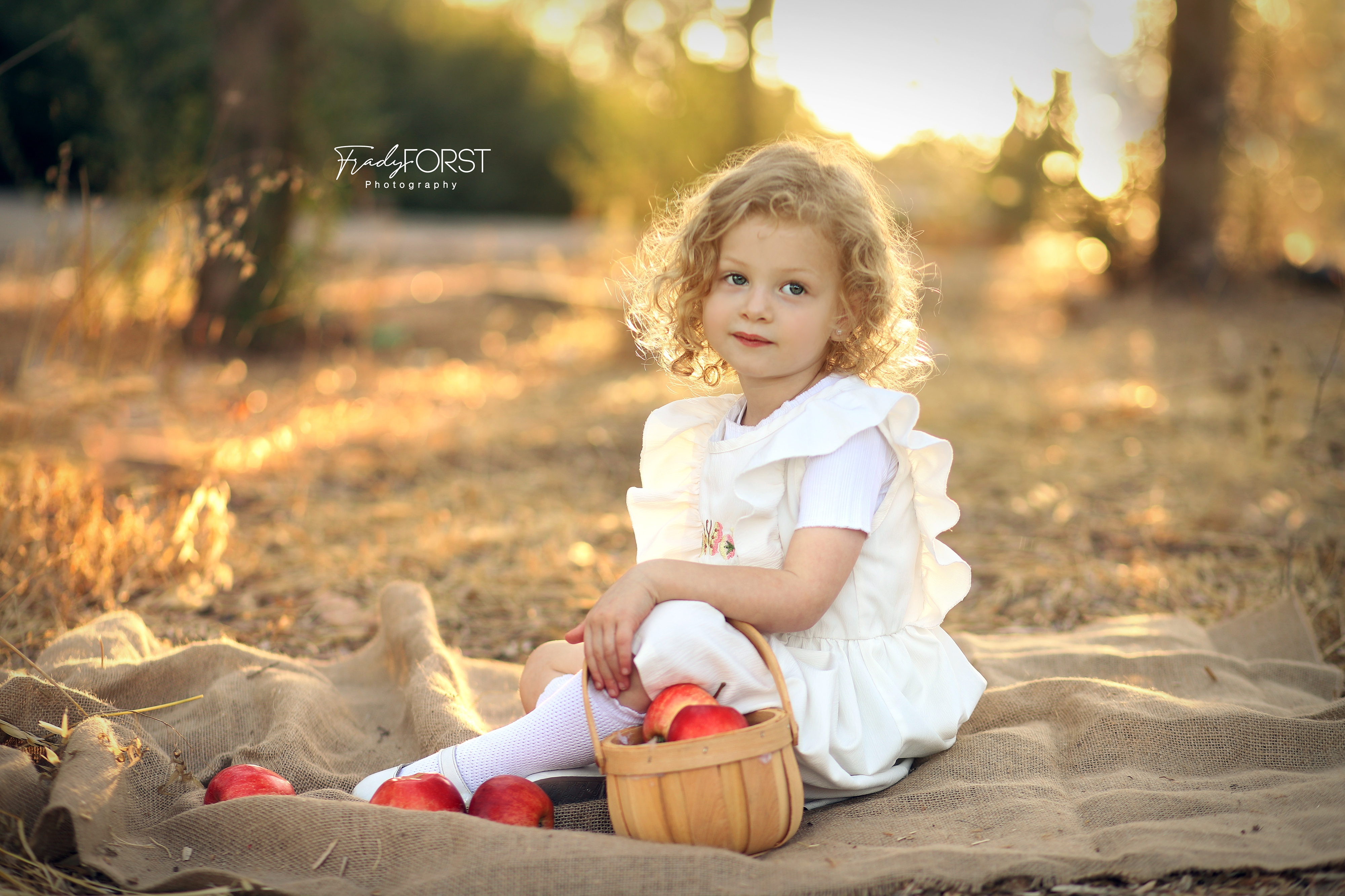 פראדי פורסט צלמת- 0533136818