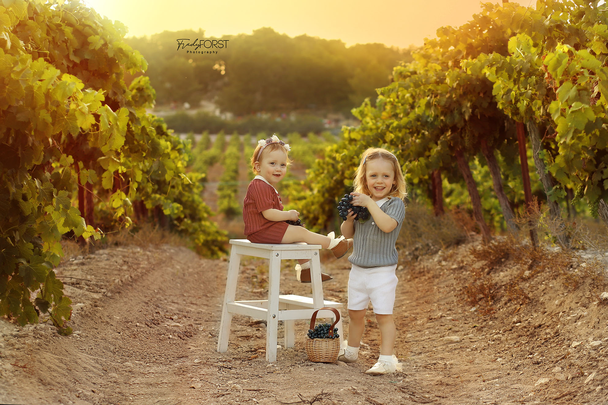 פראדי פורסט צלמת 0533136818