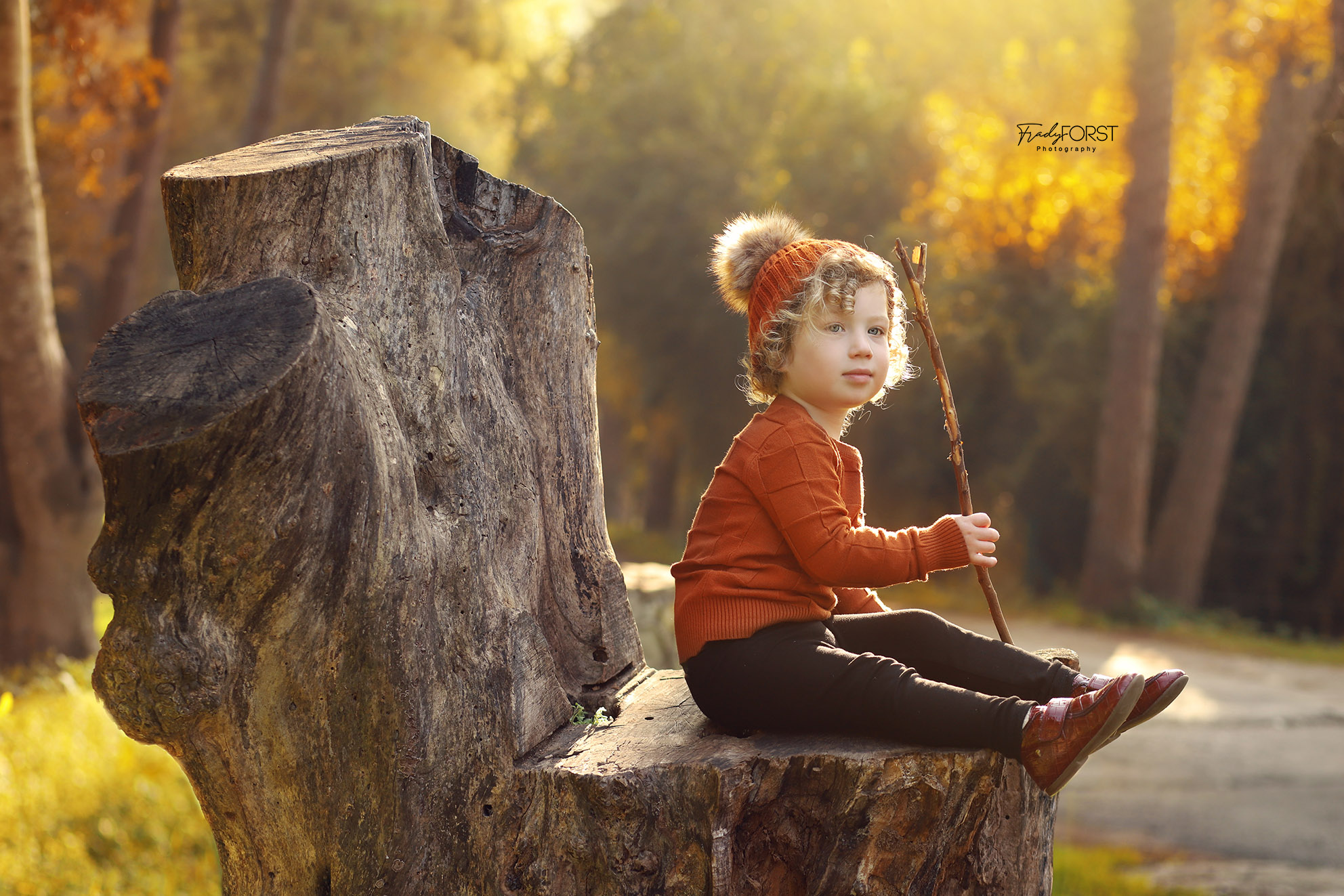 פראדי פורסט צלמת 0533136818