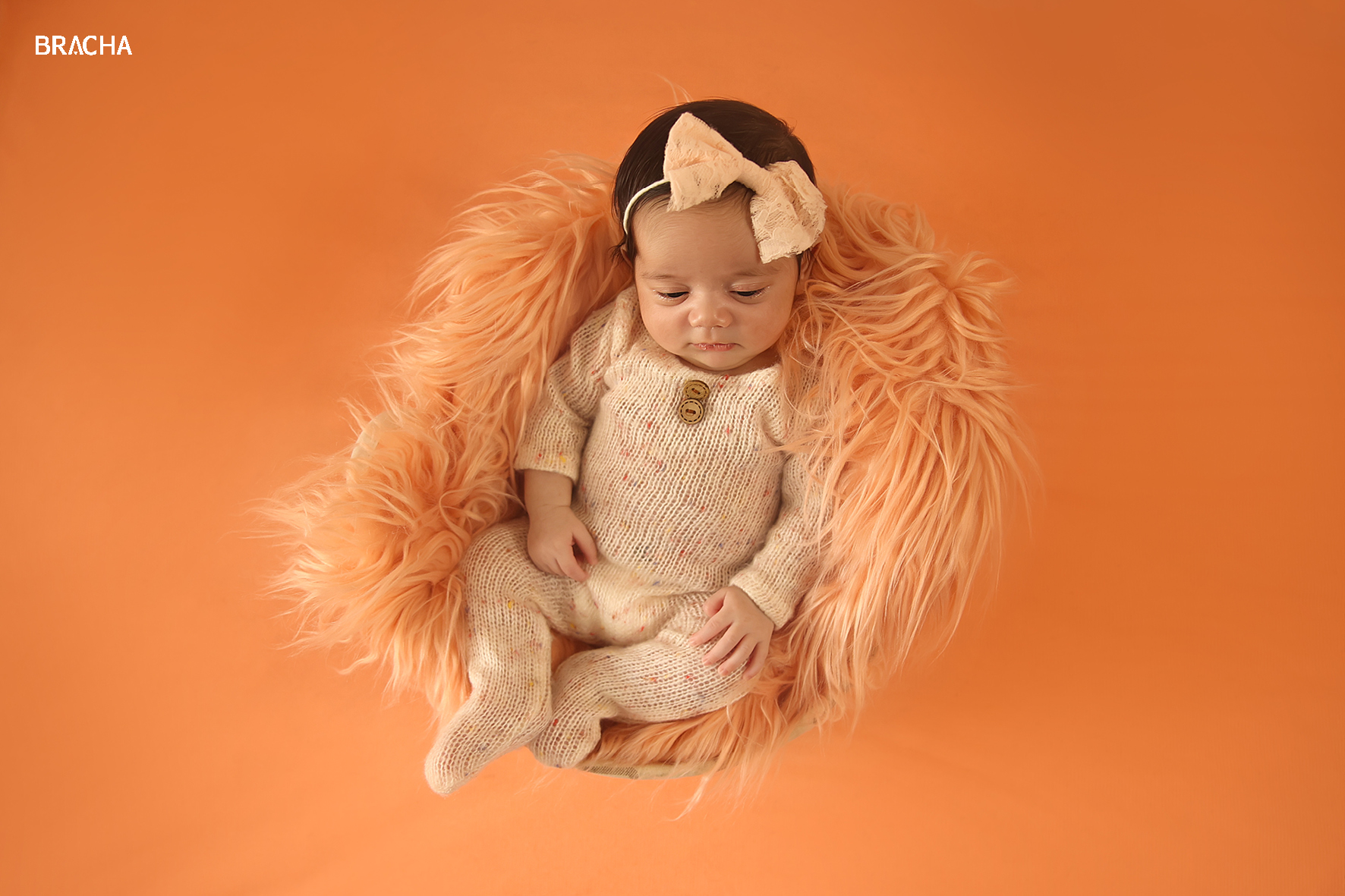 פרוג ניו בורן13.jpg