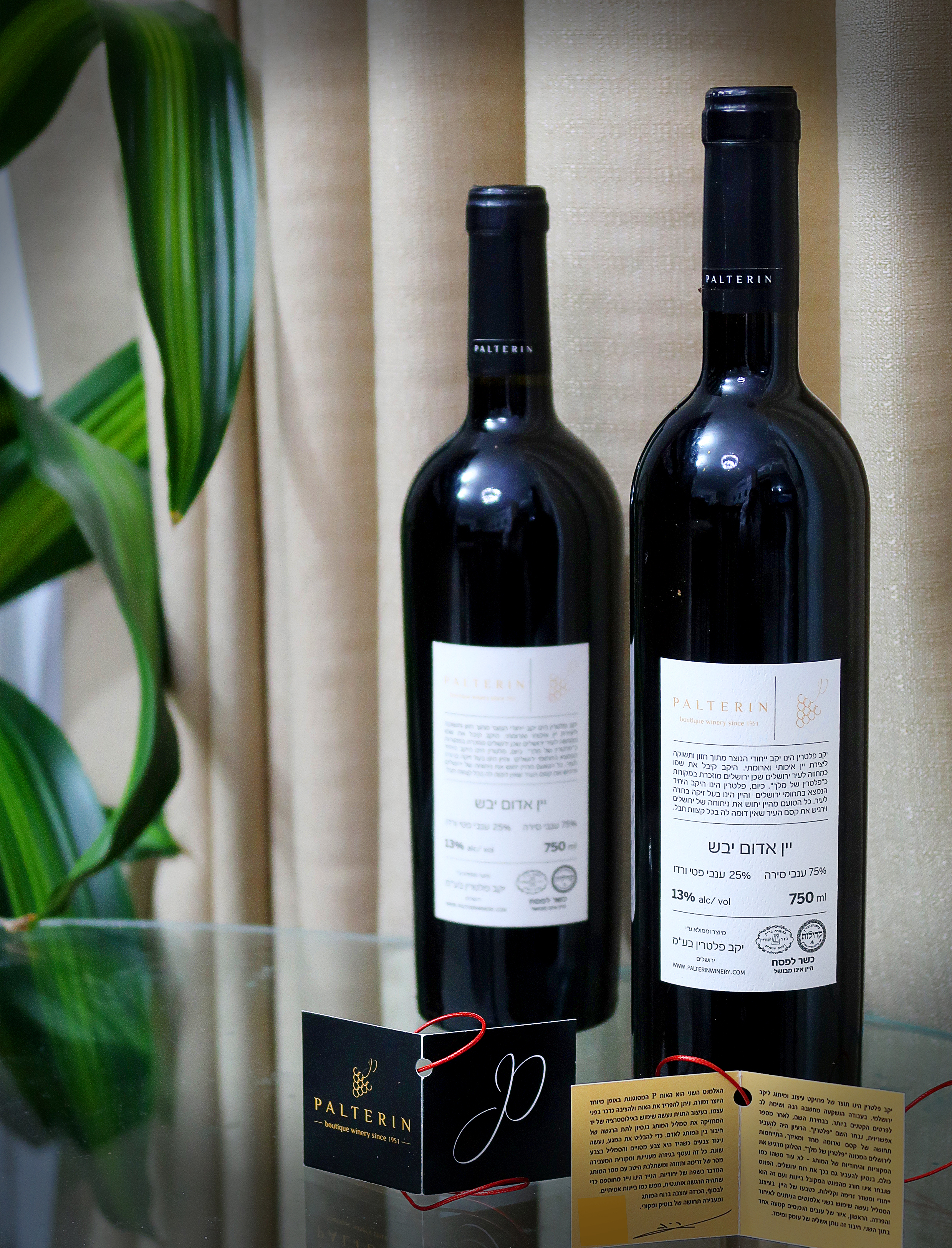 פרוייקט גמר - עיצוב תווית יין ויצירת לוגו.