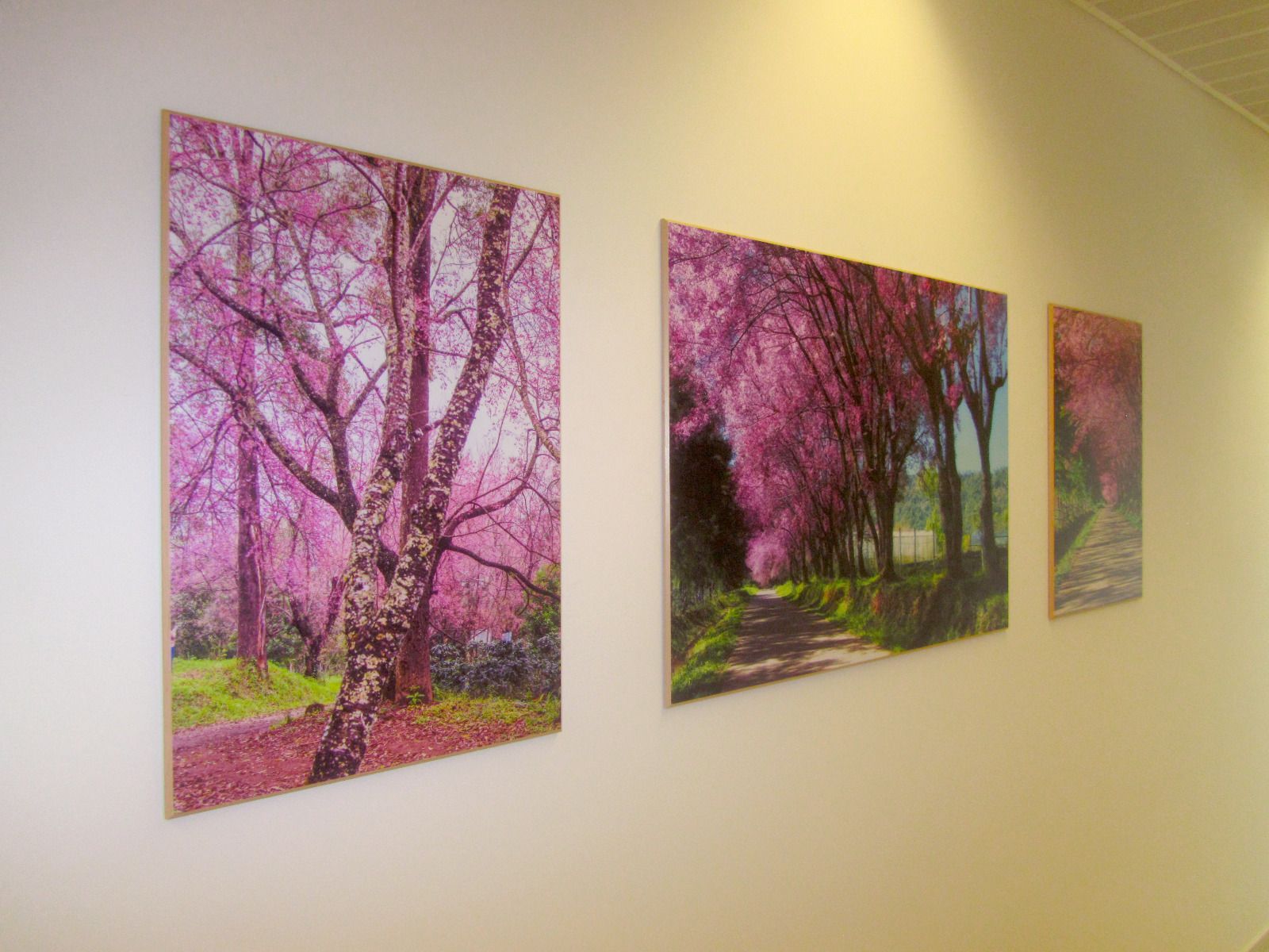 פרוייקט עיצוב בניני משרד העבודה