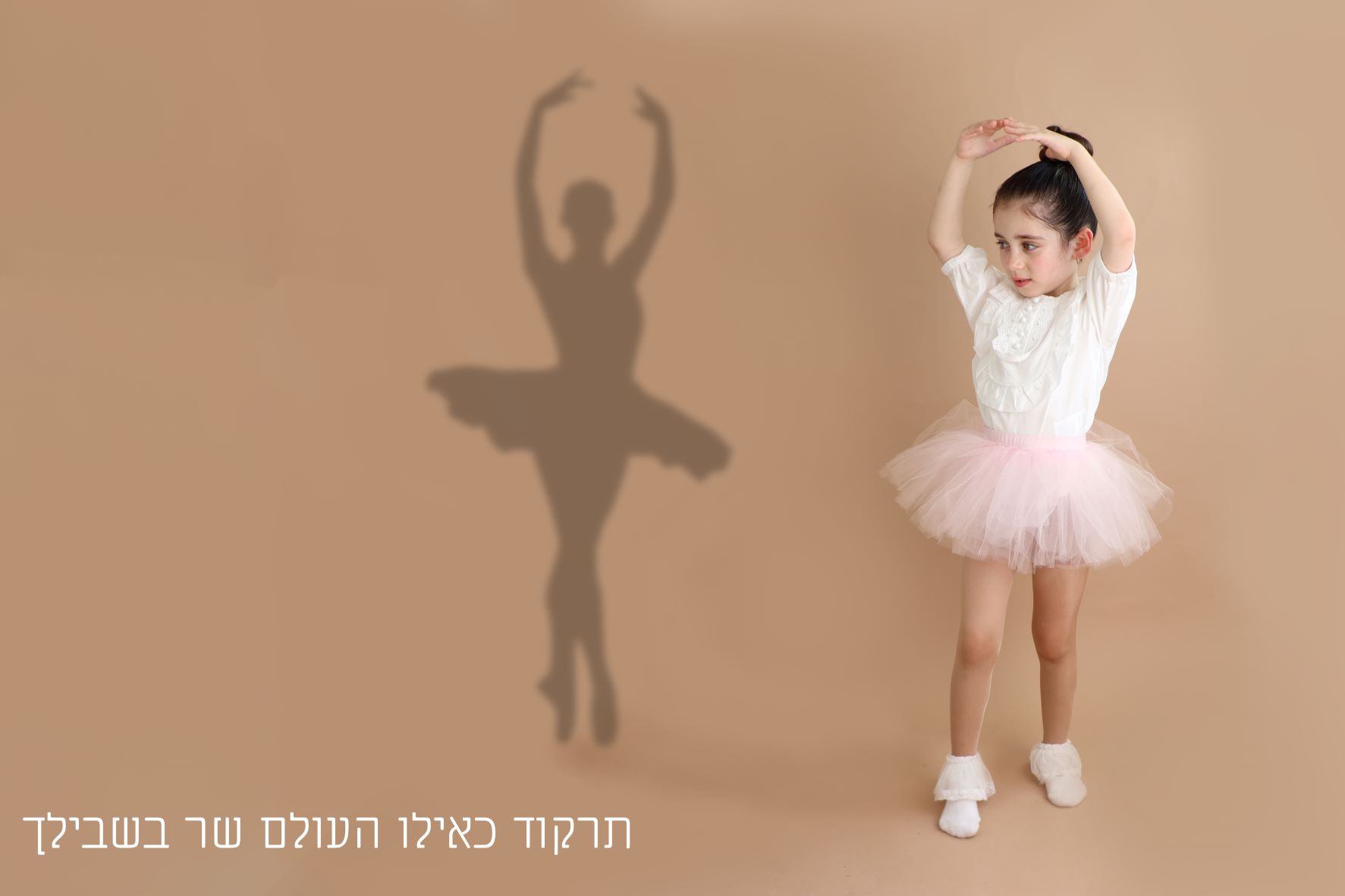 פרויקט גמר