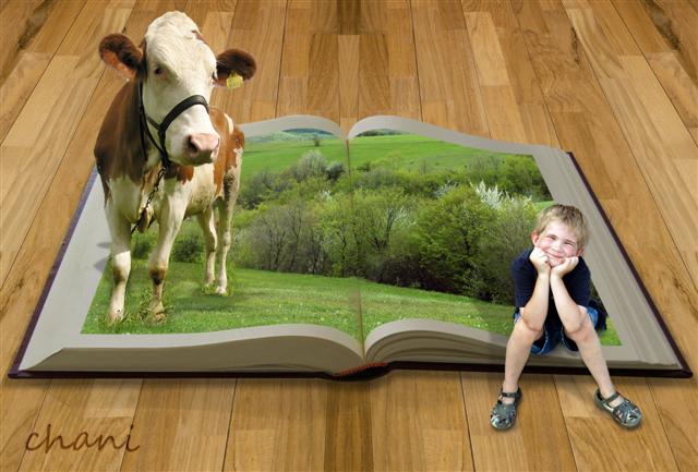 פרויקט סיכום בפוטושופ