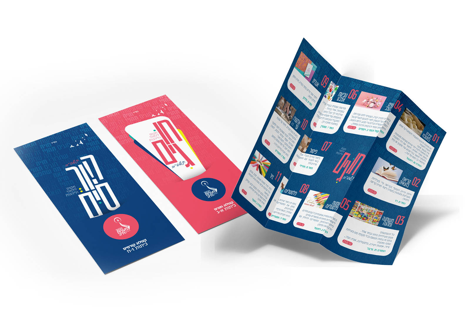 פרוספקט חוגים לביה"ס מעלות חיה