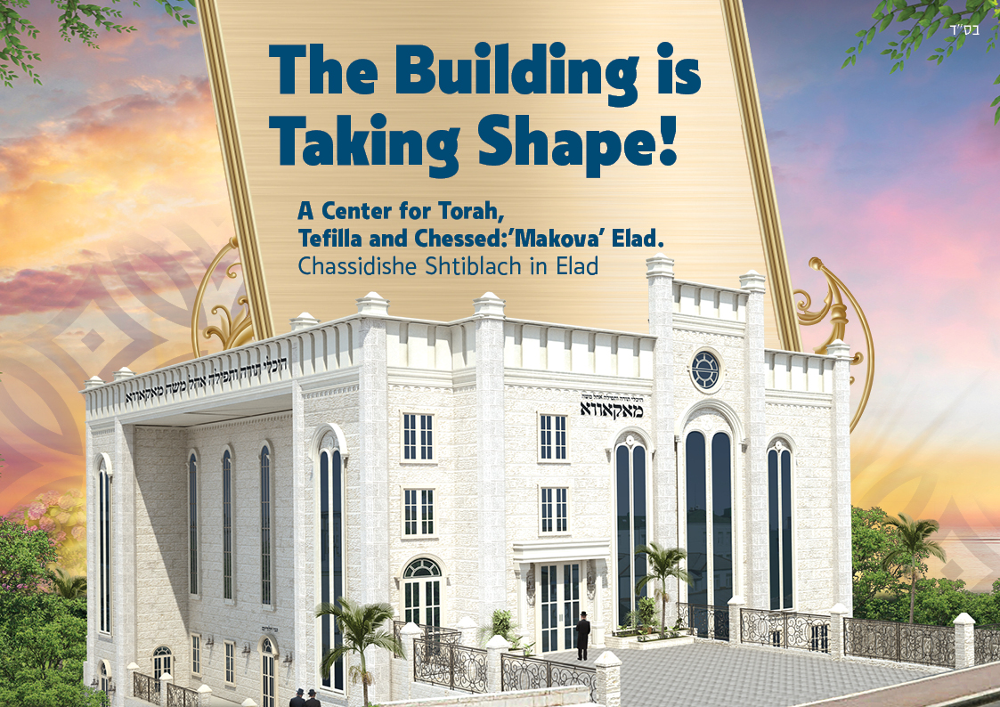 פרוספקט מאקאווא משודרג אנגלית.jpg