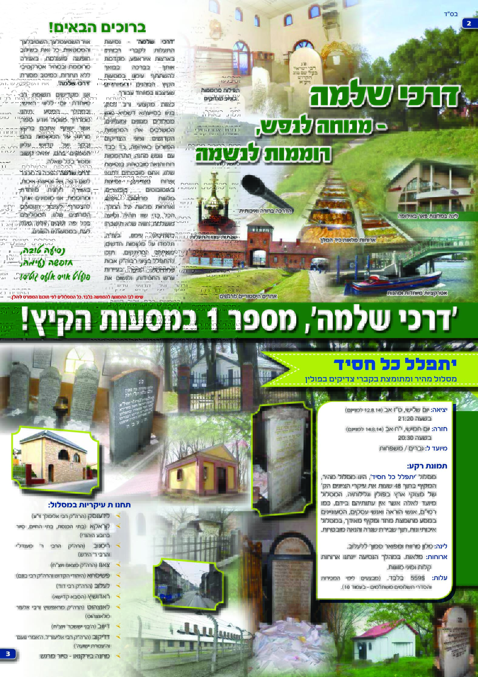 פרוספקט קיץ תשעד דרכי שלמה  (2)