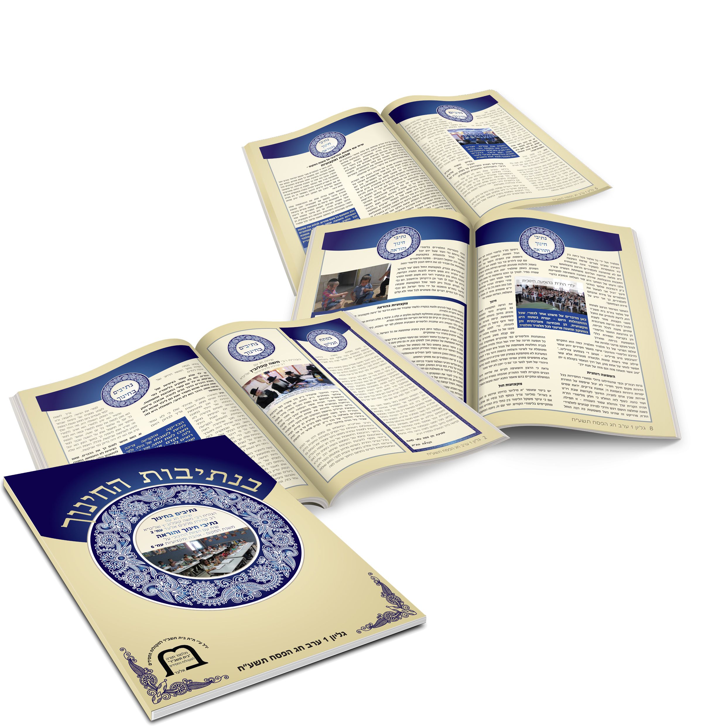 פרוספקט תדמית לת"ת