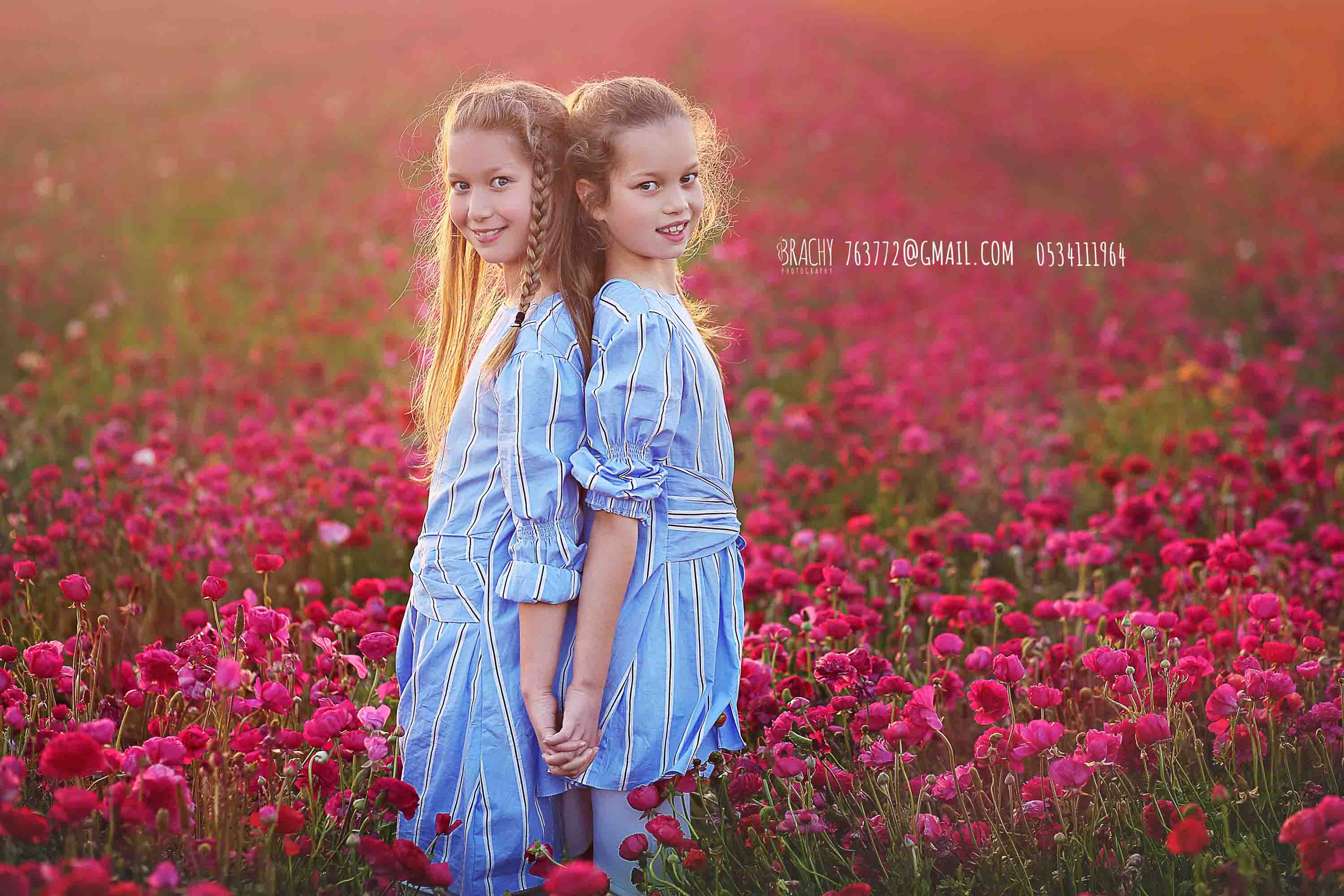 פריחה♥♥♥♥♥